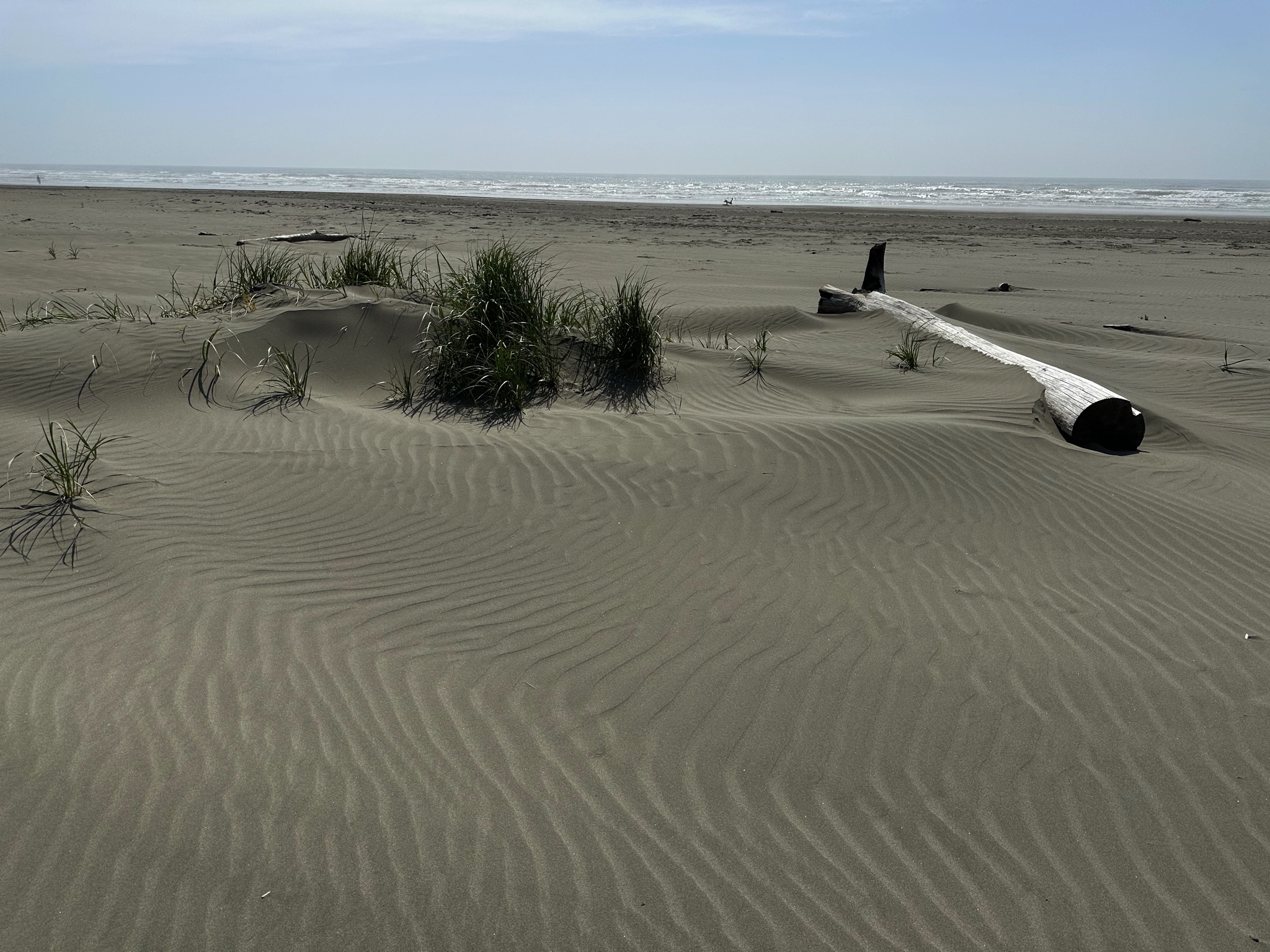 Ocean City beach