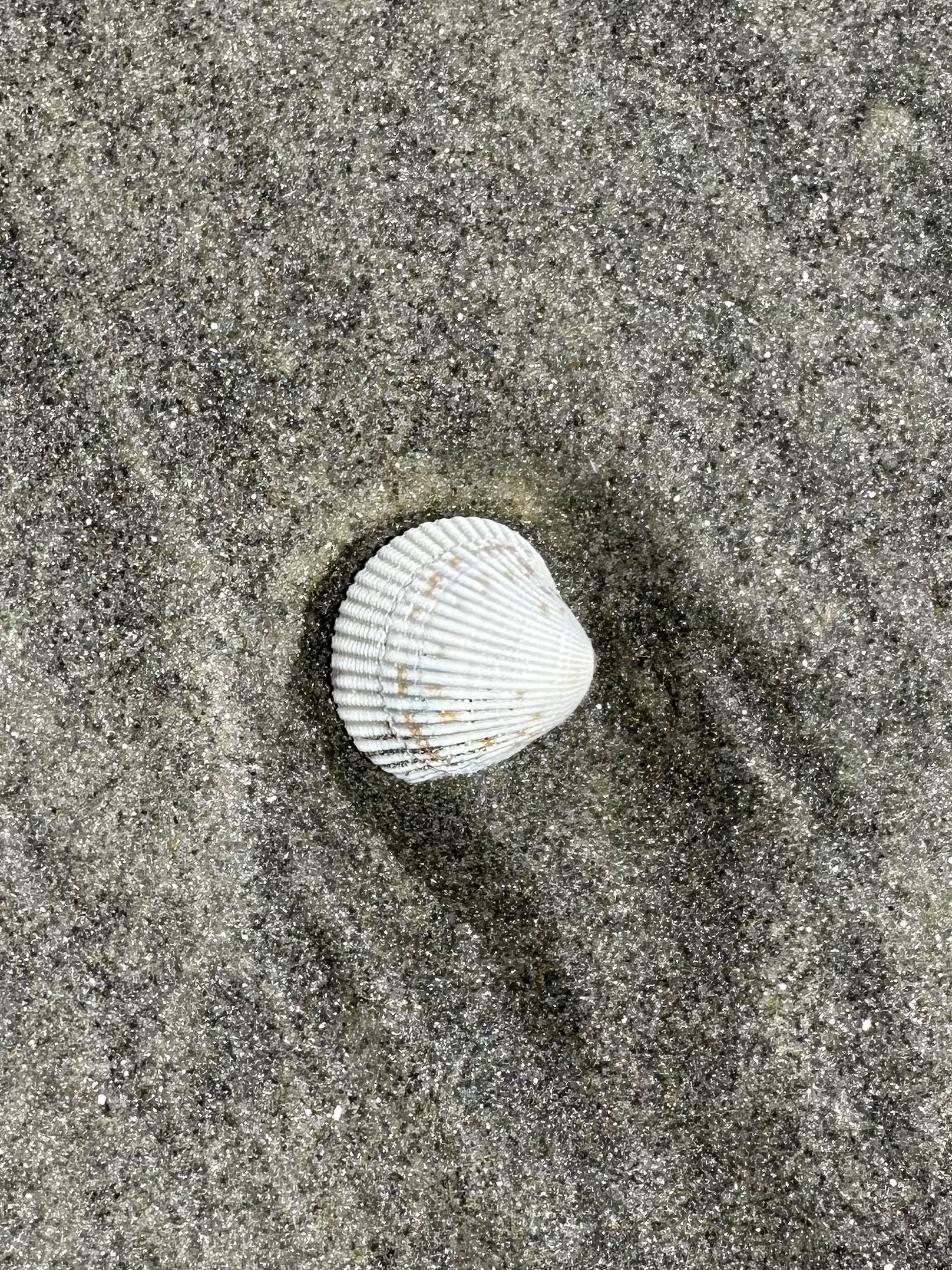 Ocean City beach