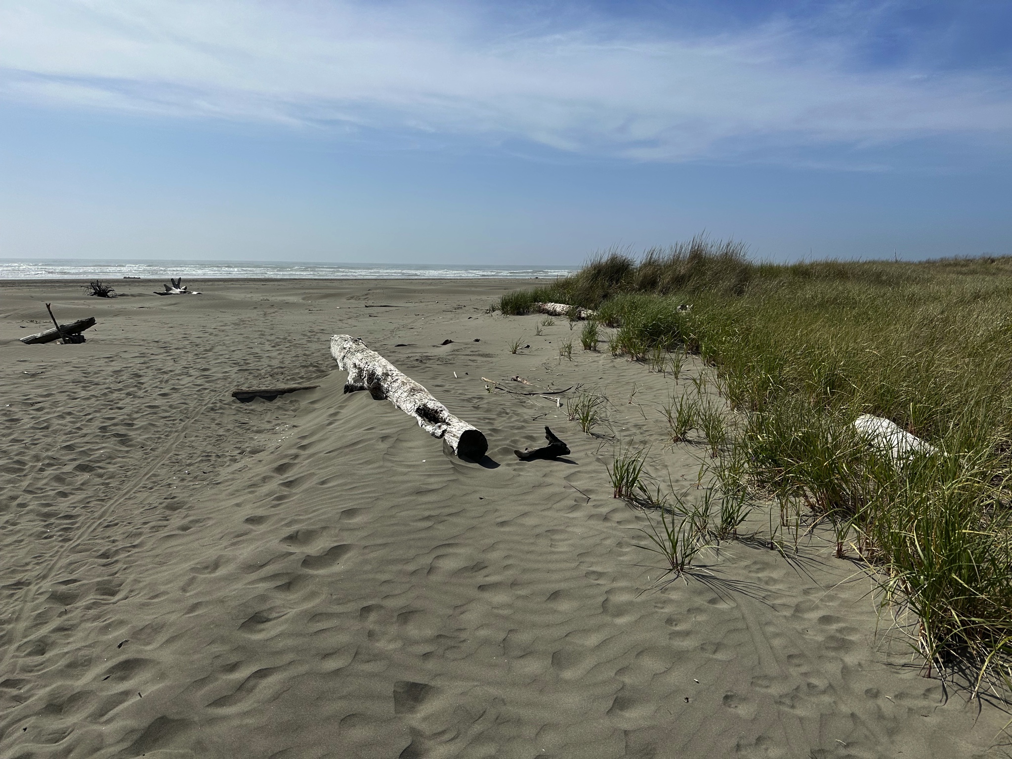 Ocean City beach