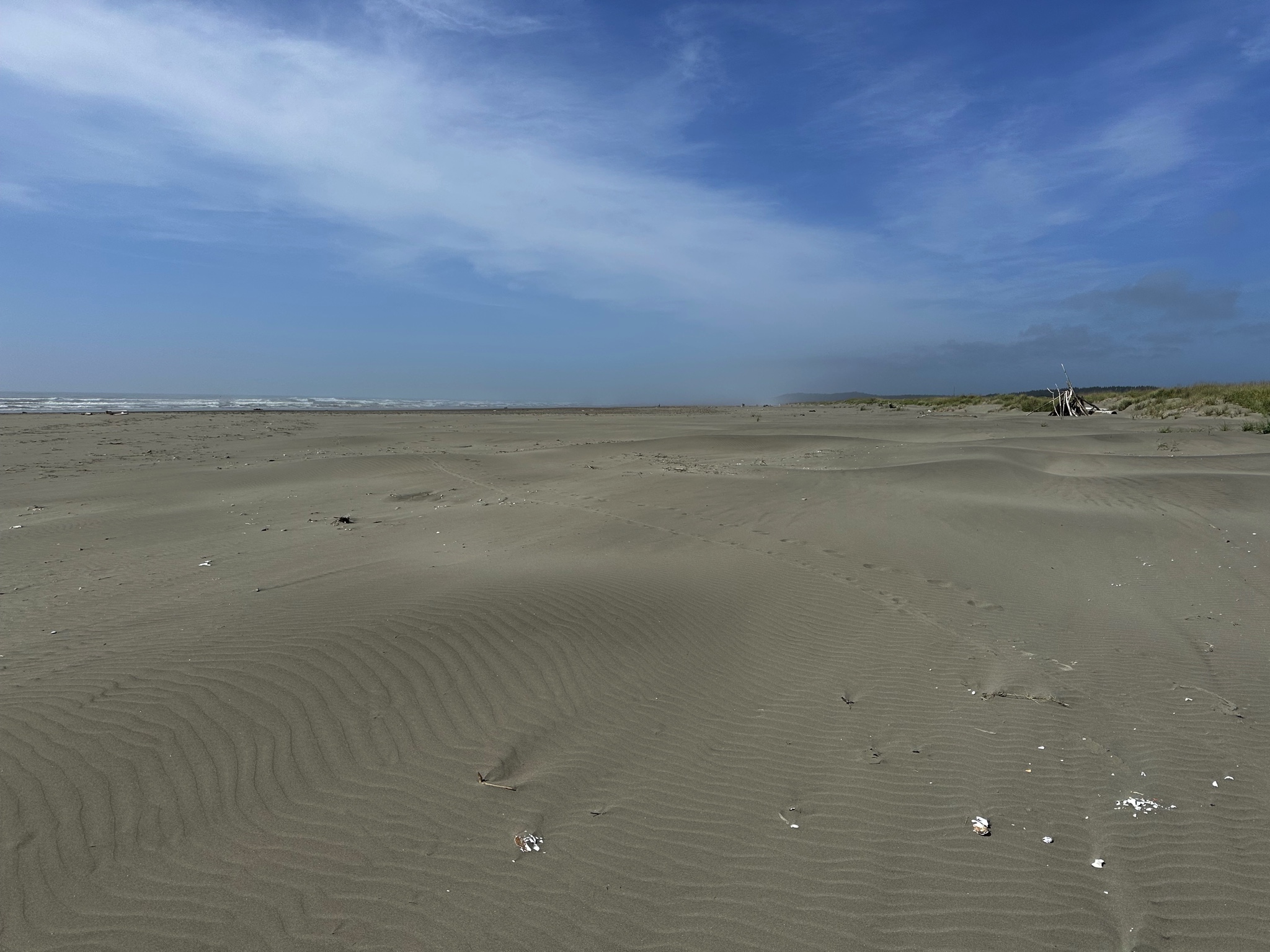 Ocean City beach