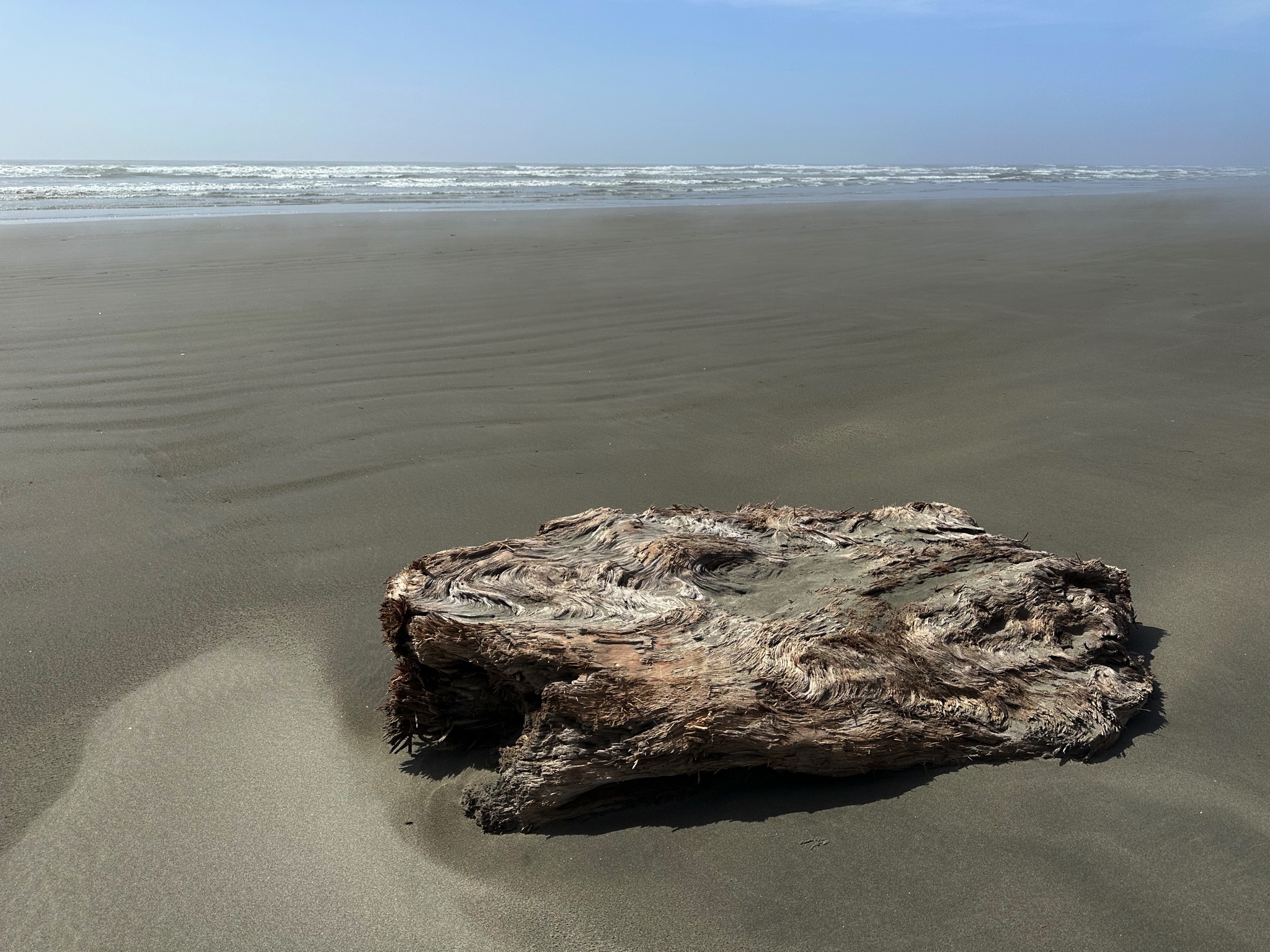 Ocean City beach