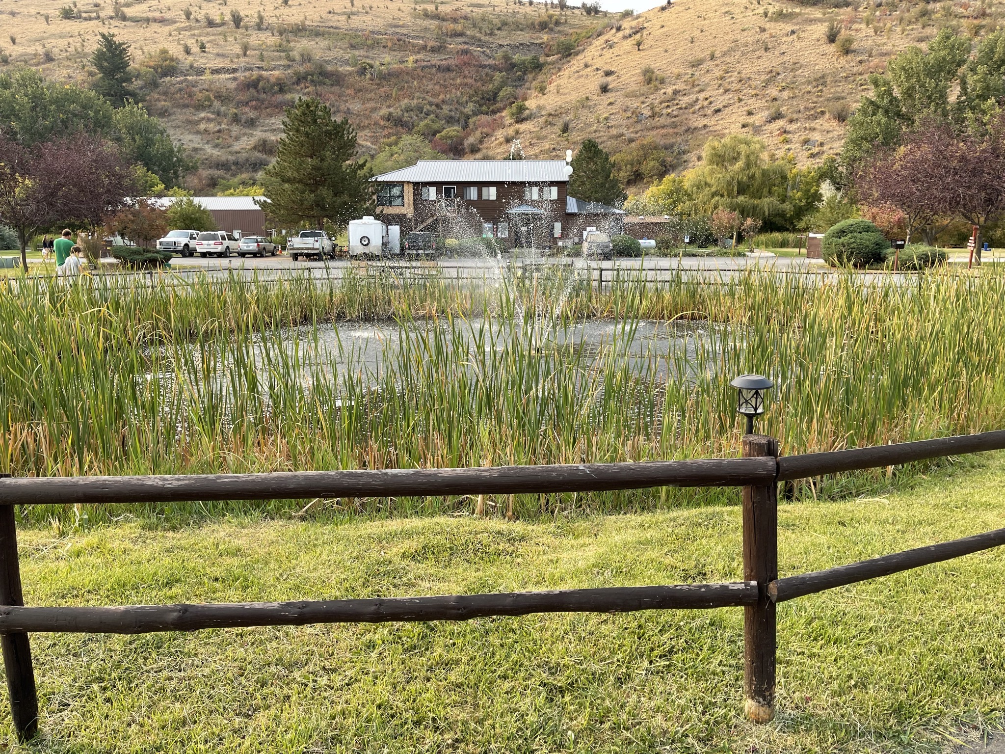 Pond and fountain