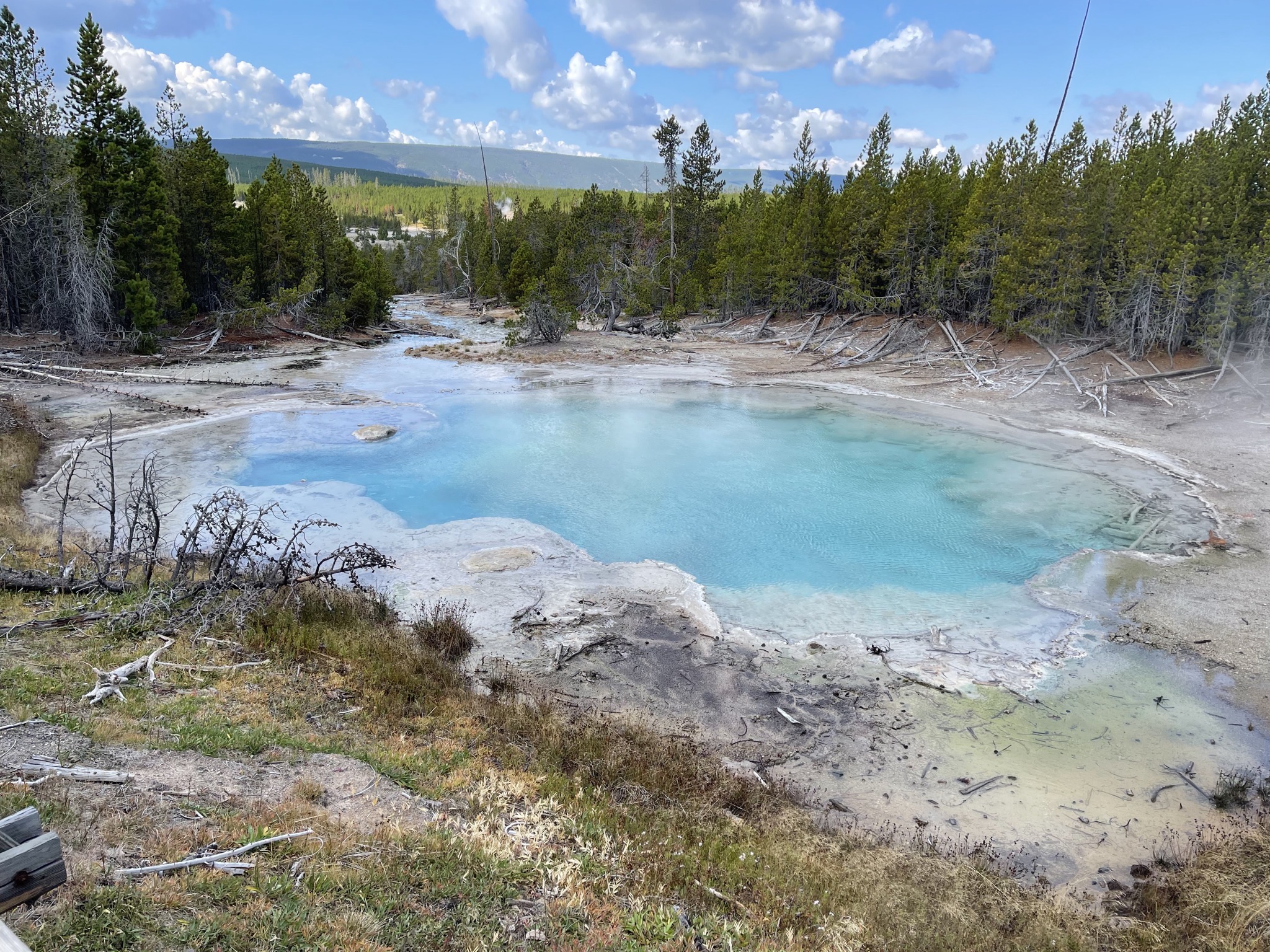 Emerald Springl pool