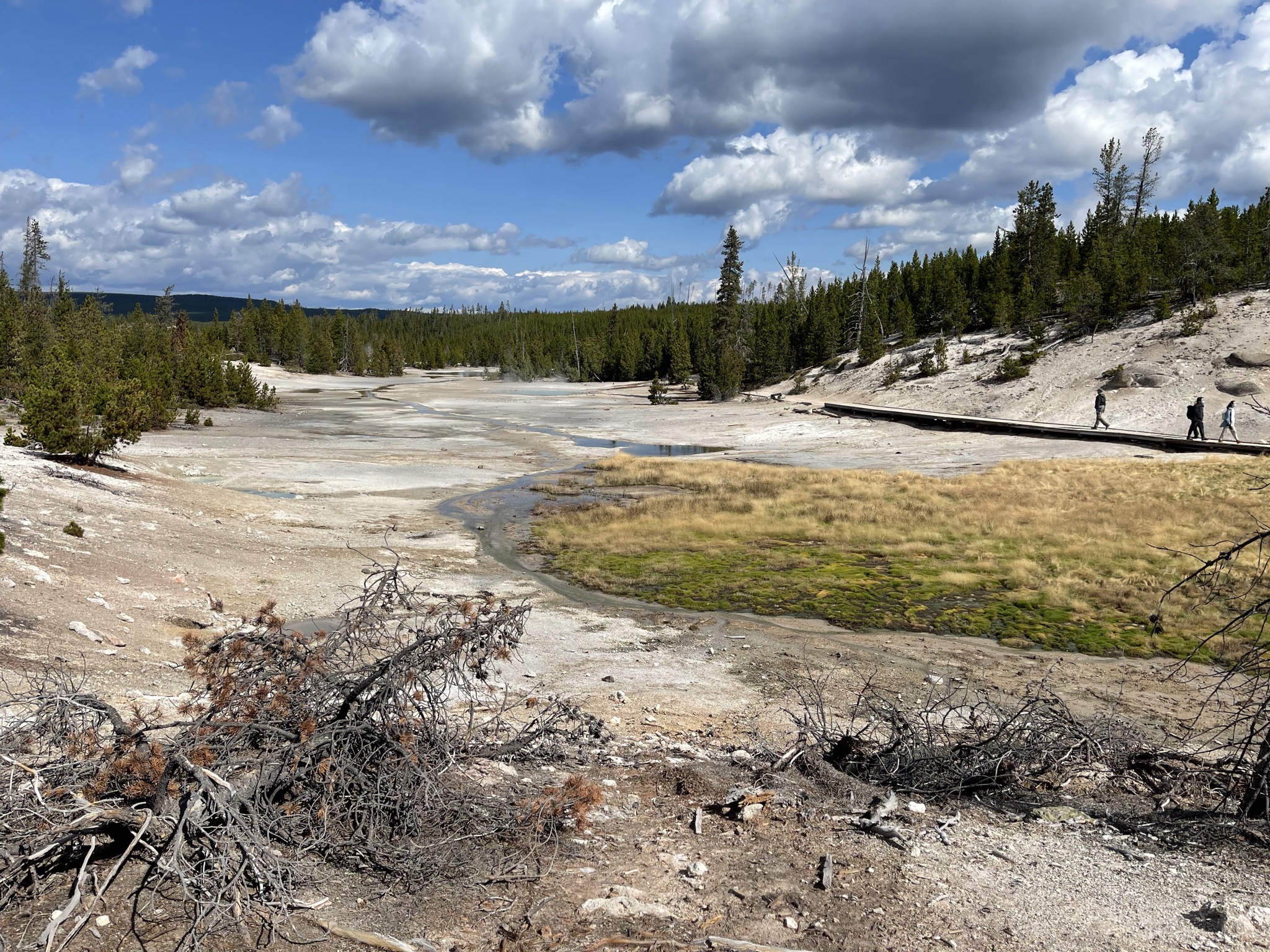 Geyser valley