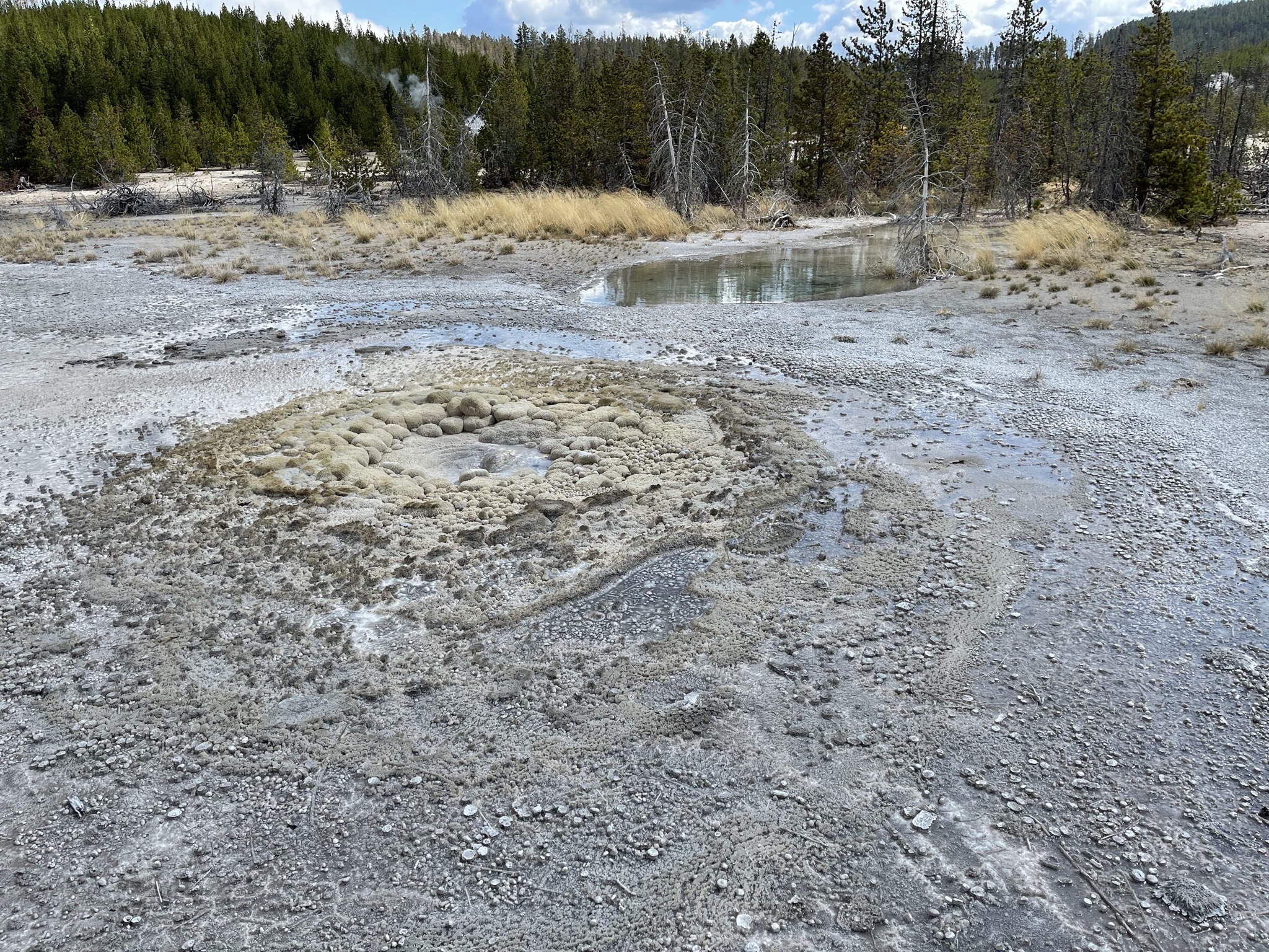 Geyser
