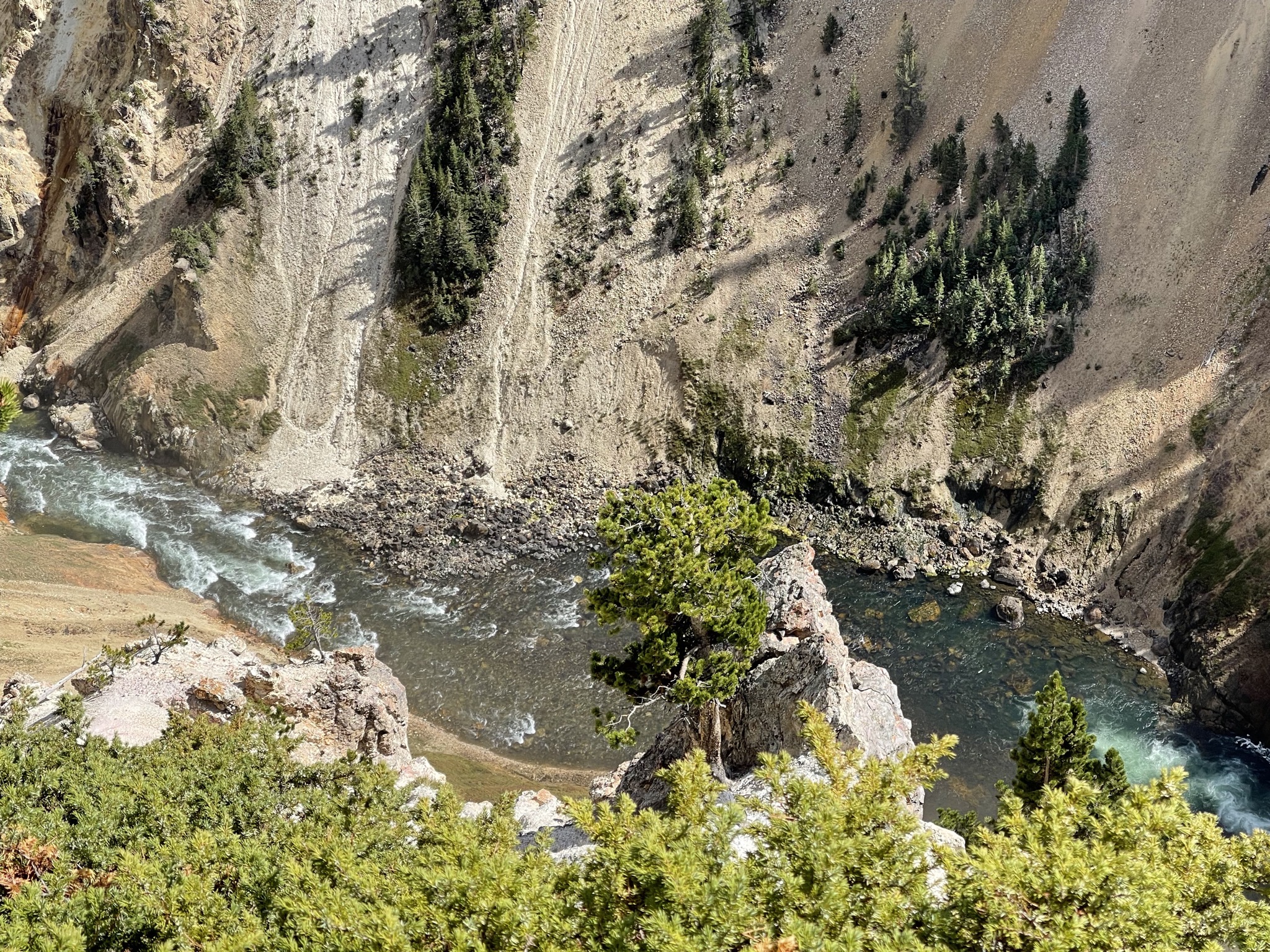Grand Canyon of Yellowstone