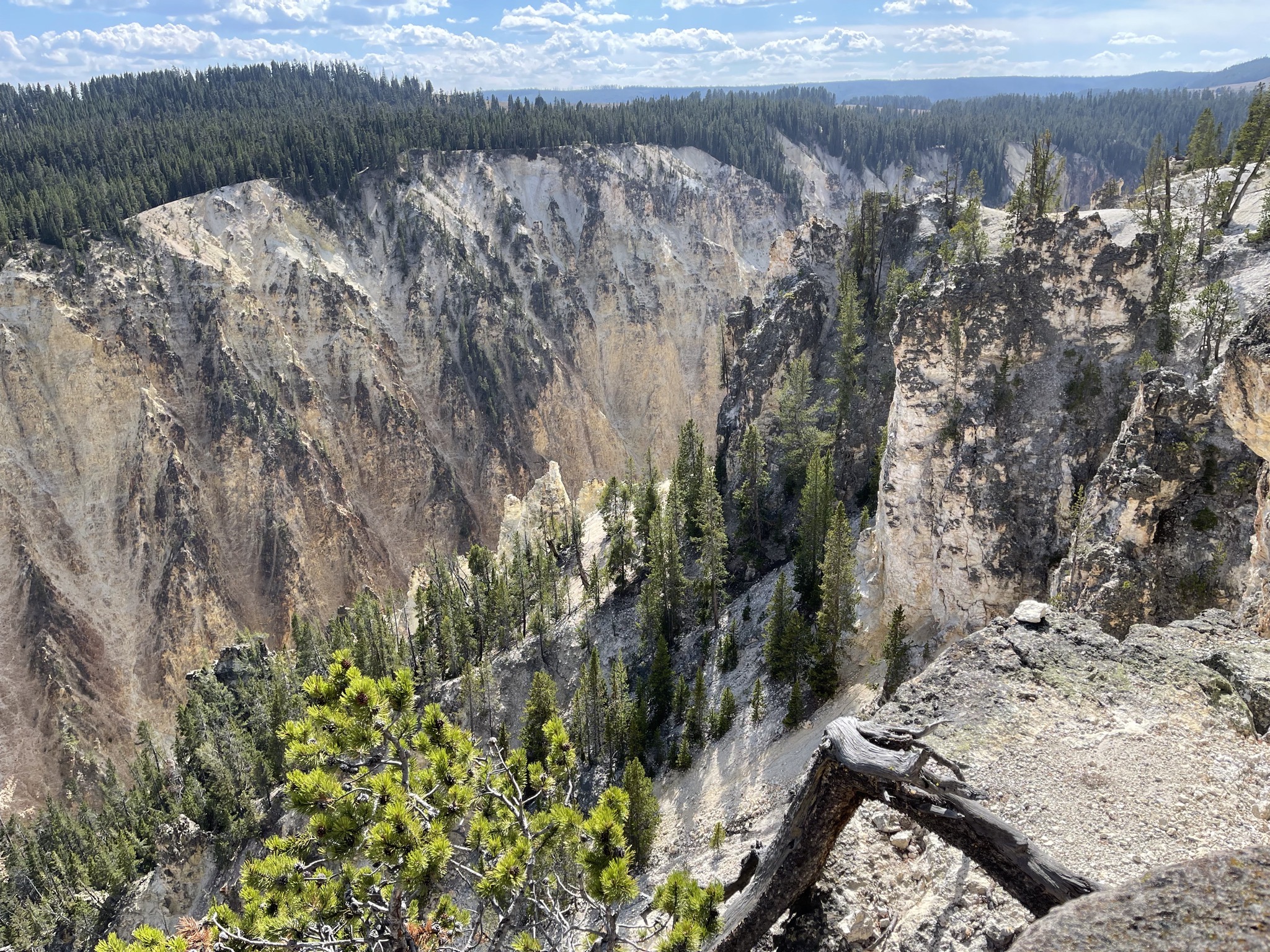 Grand Canyon of Yellowstone