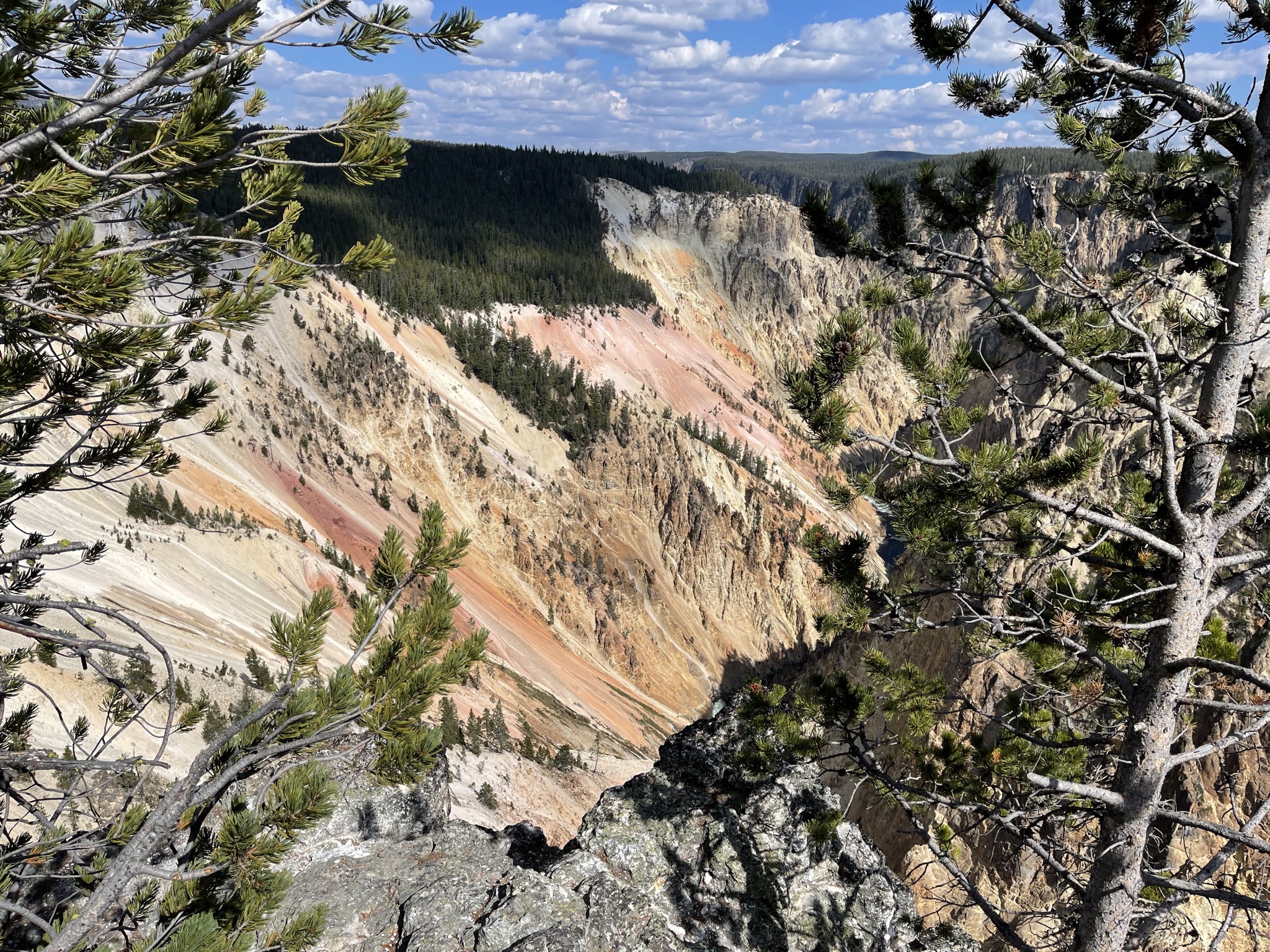 Grand Canyon of Yellowstone