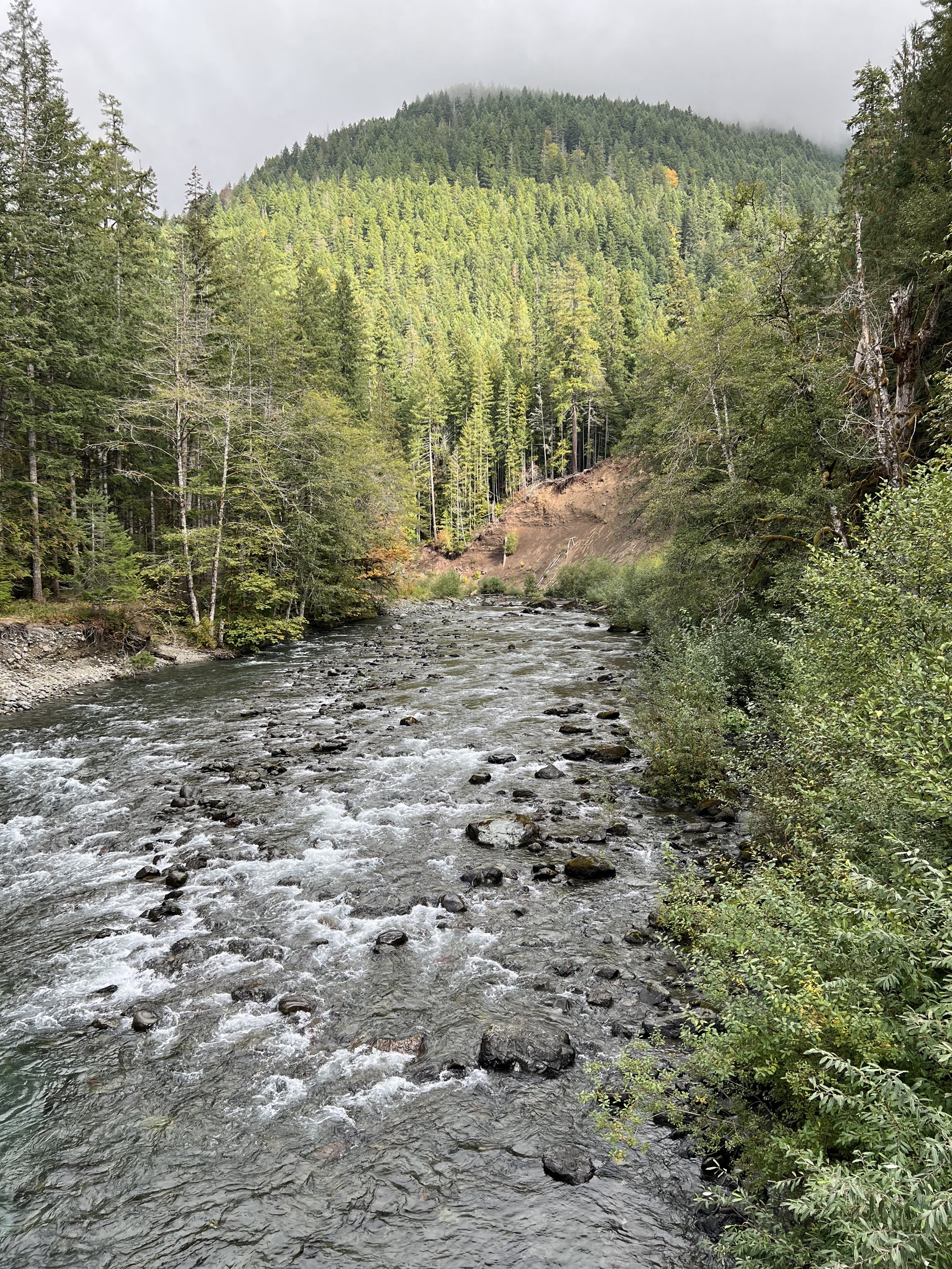 North Fork Skokomish River at Staircase