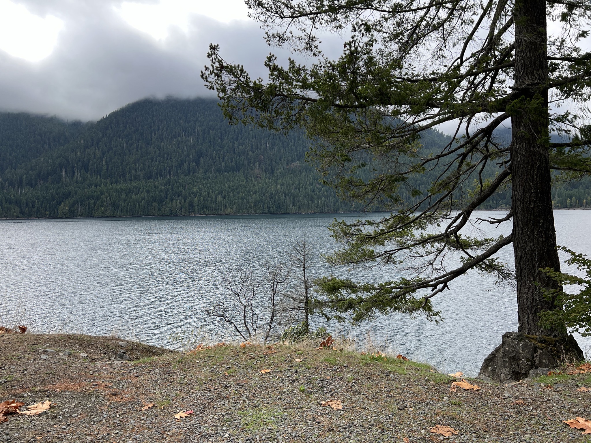 Lake Cushman
