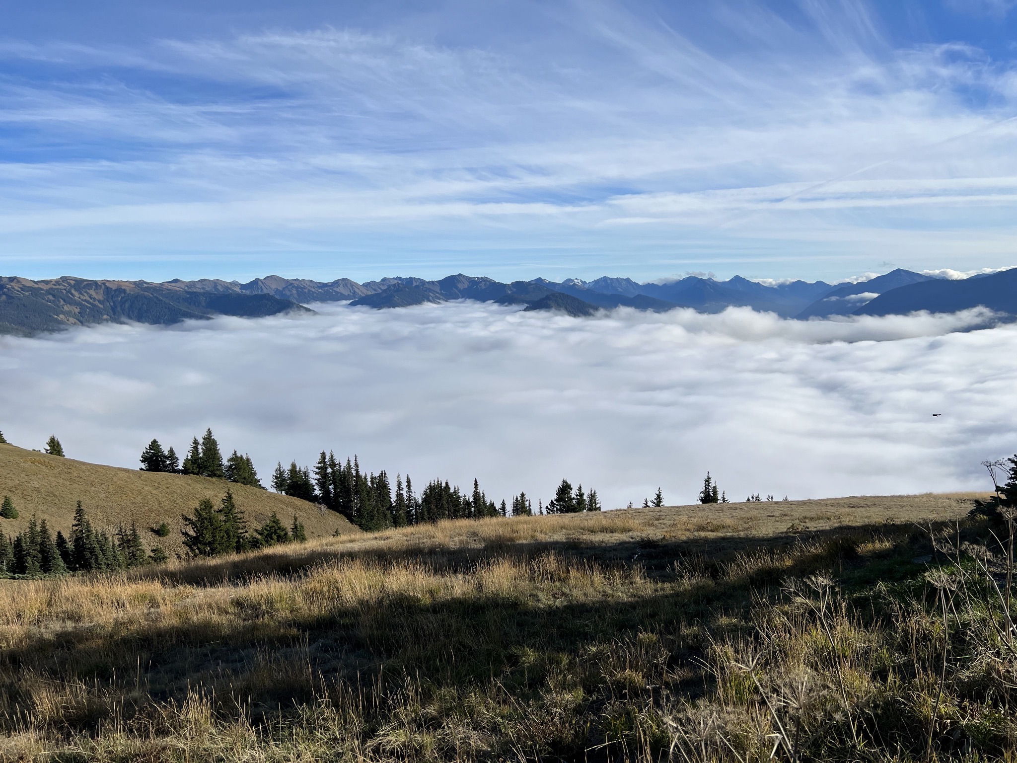 Above the clouds at Hurricane Ridge