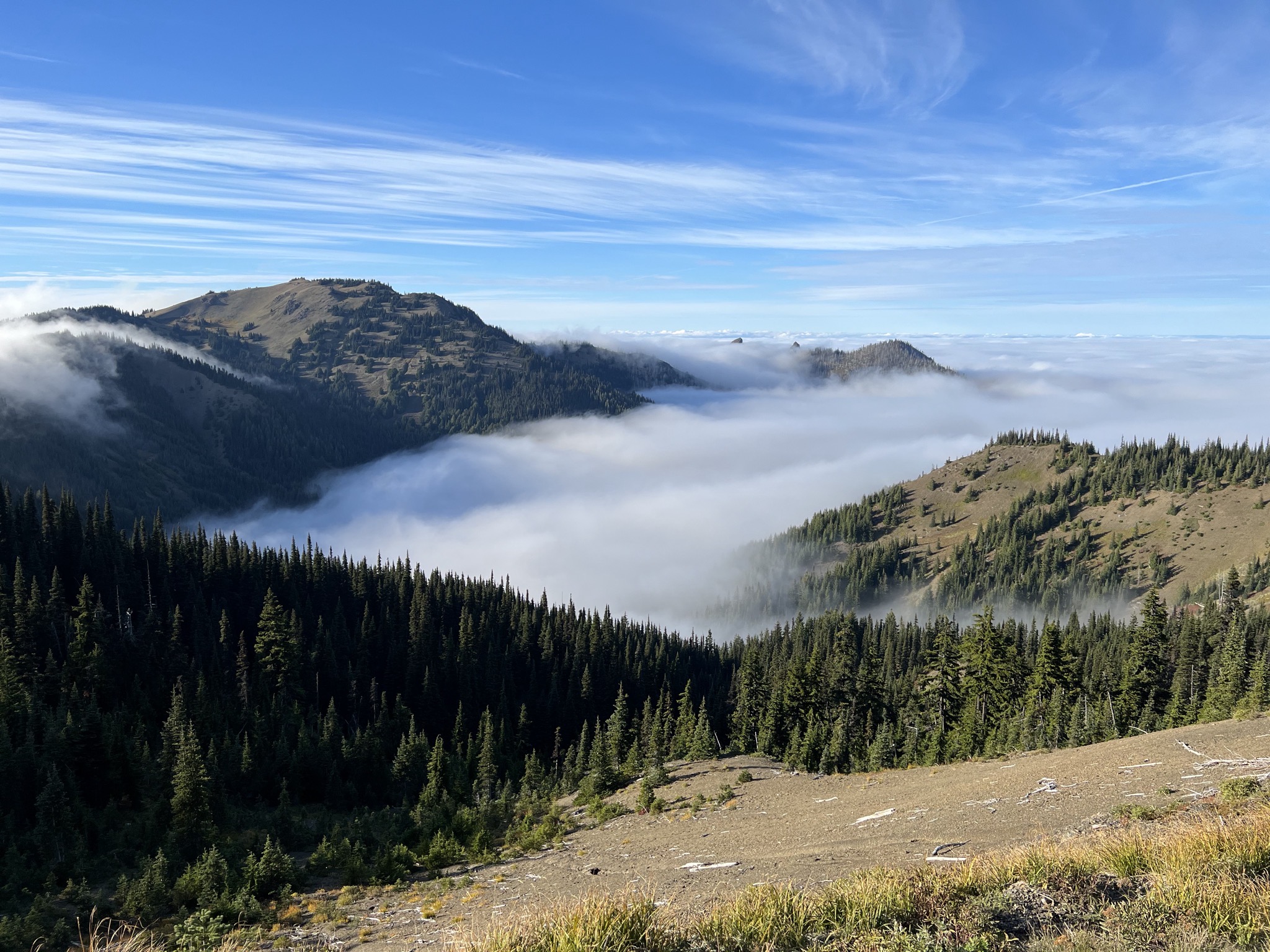 Above the clouds at Hurricane Ridge