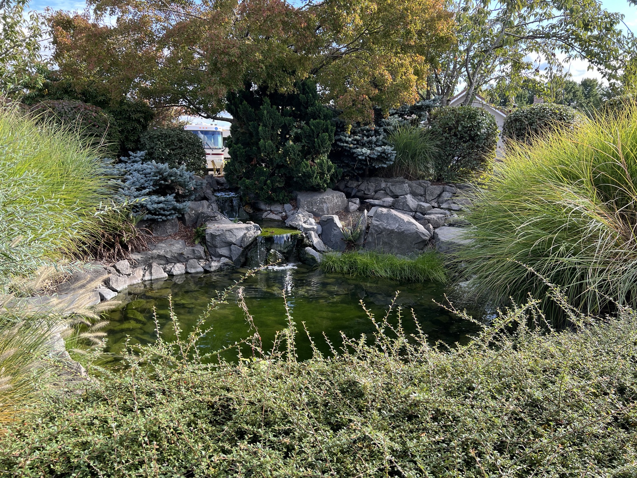 Water feature