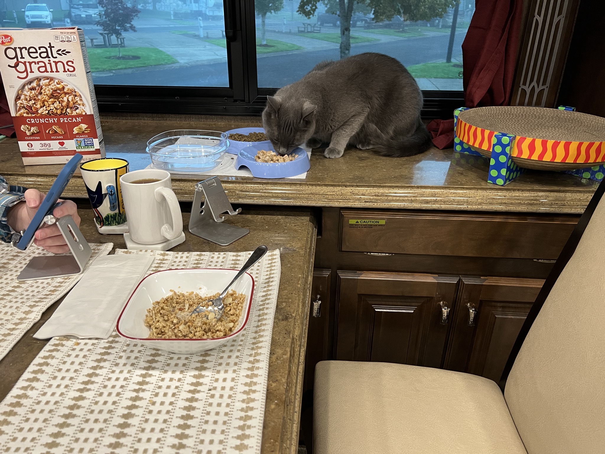 Paladin eating breakfast with us