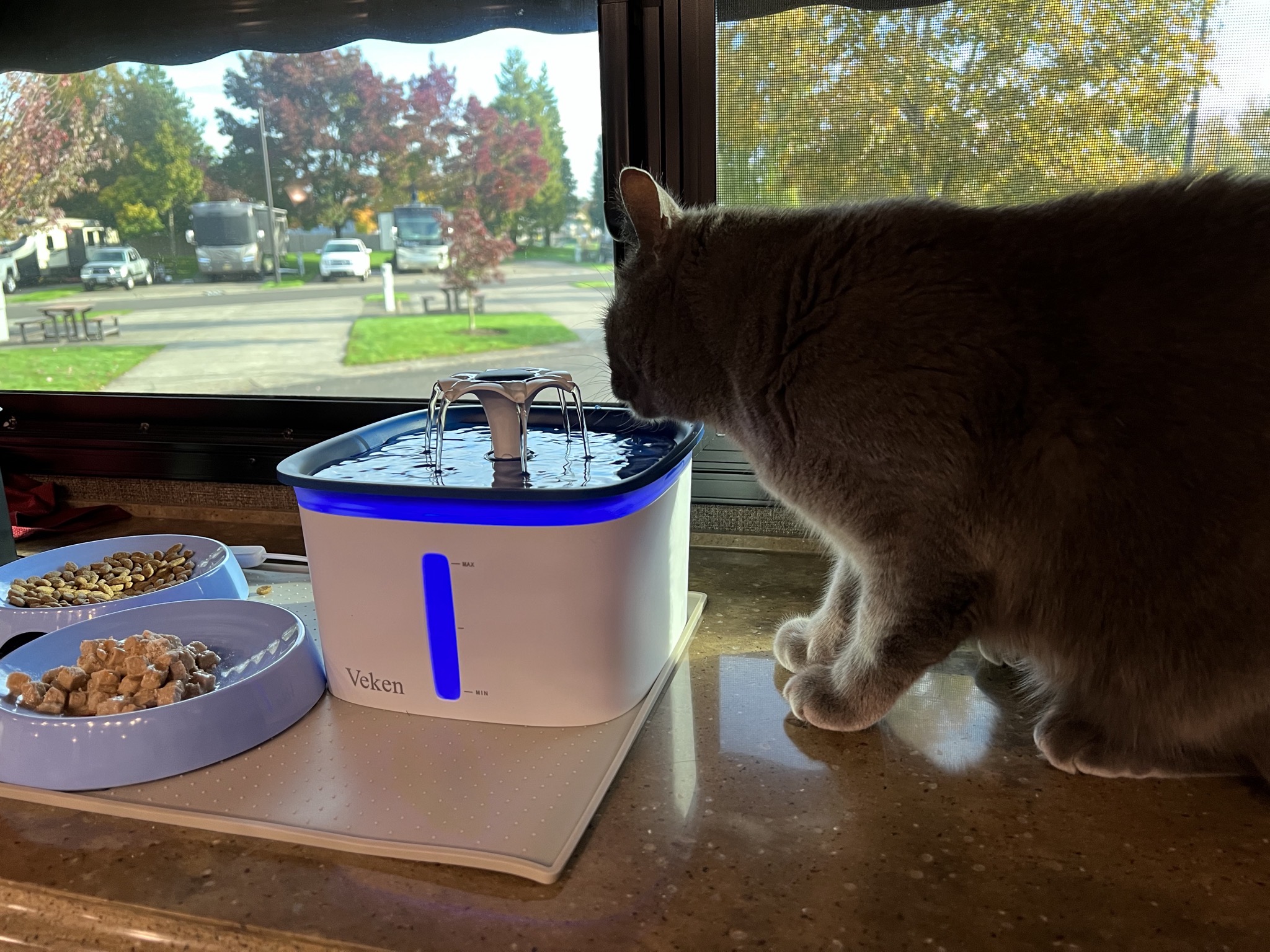 Paladin drinking from water fountain