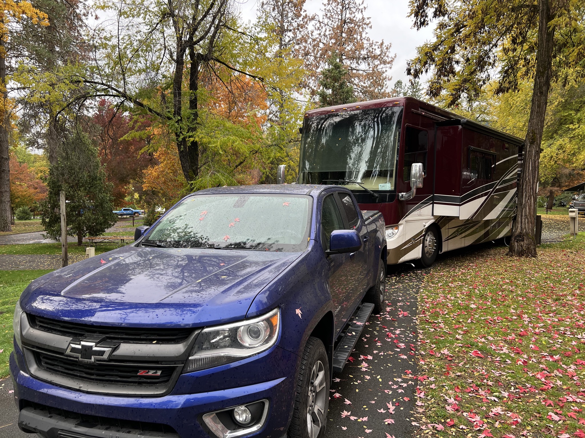 Truck and coach in campsite