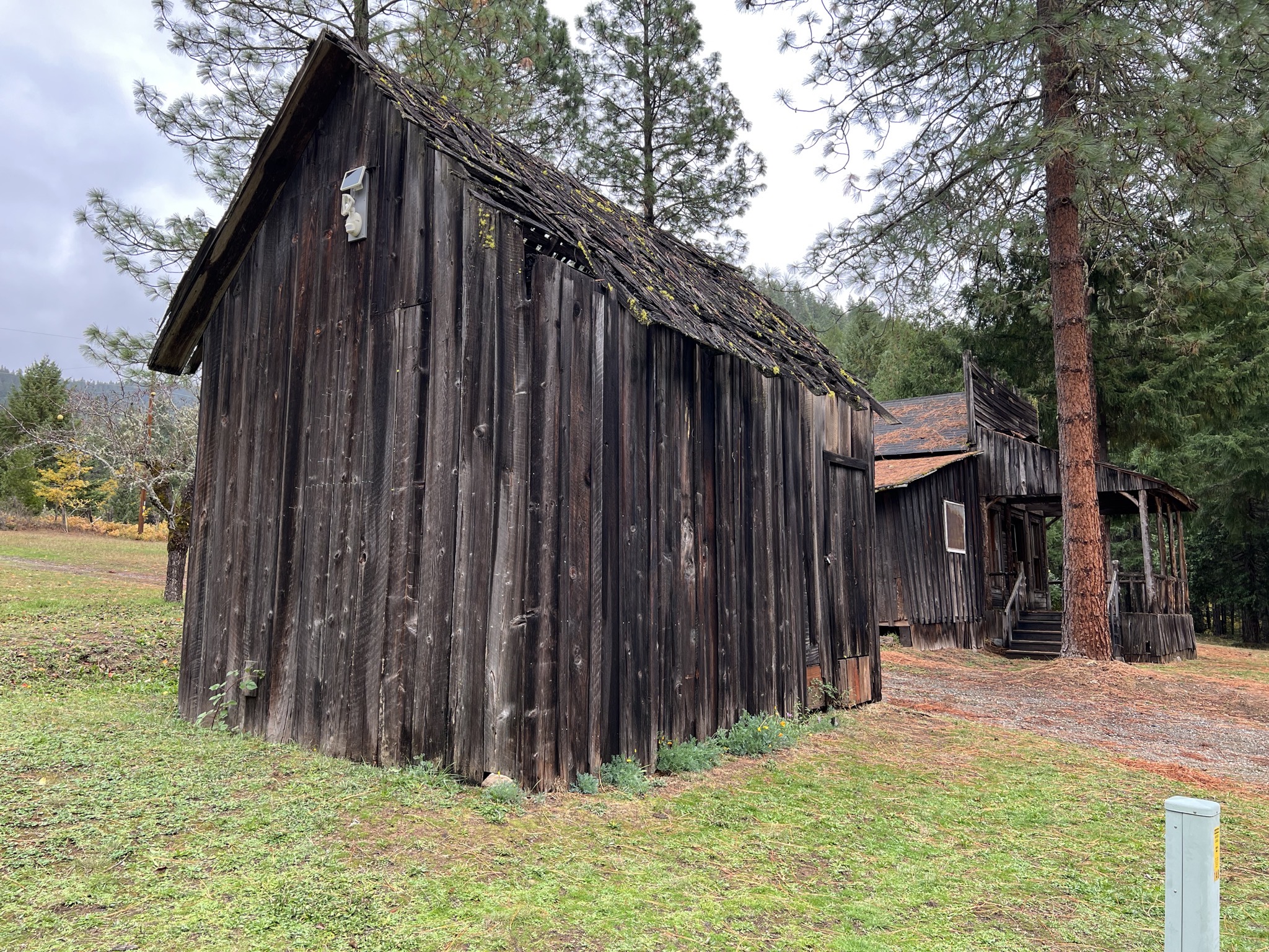 Shed