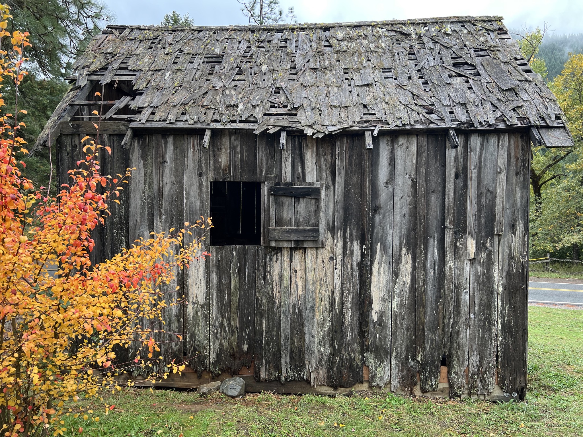 Shed