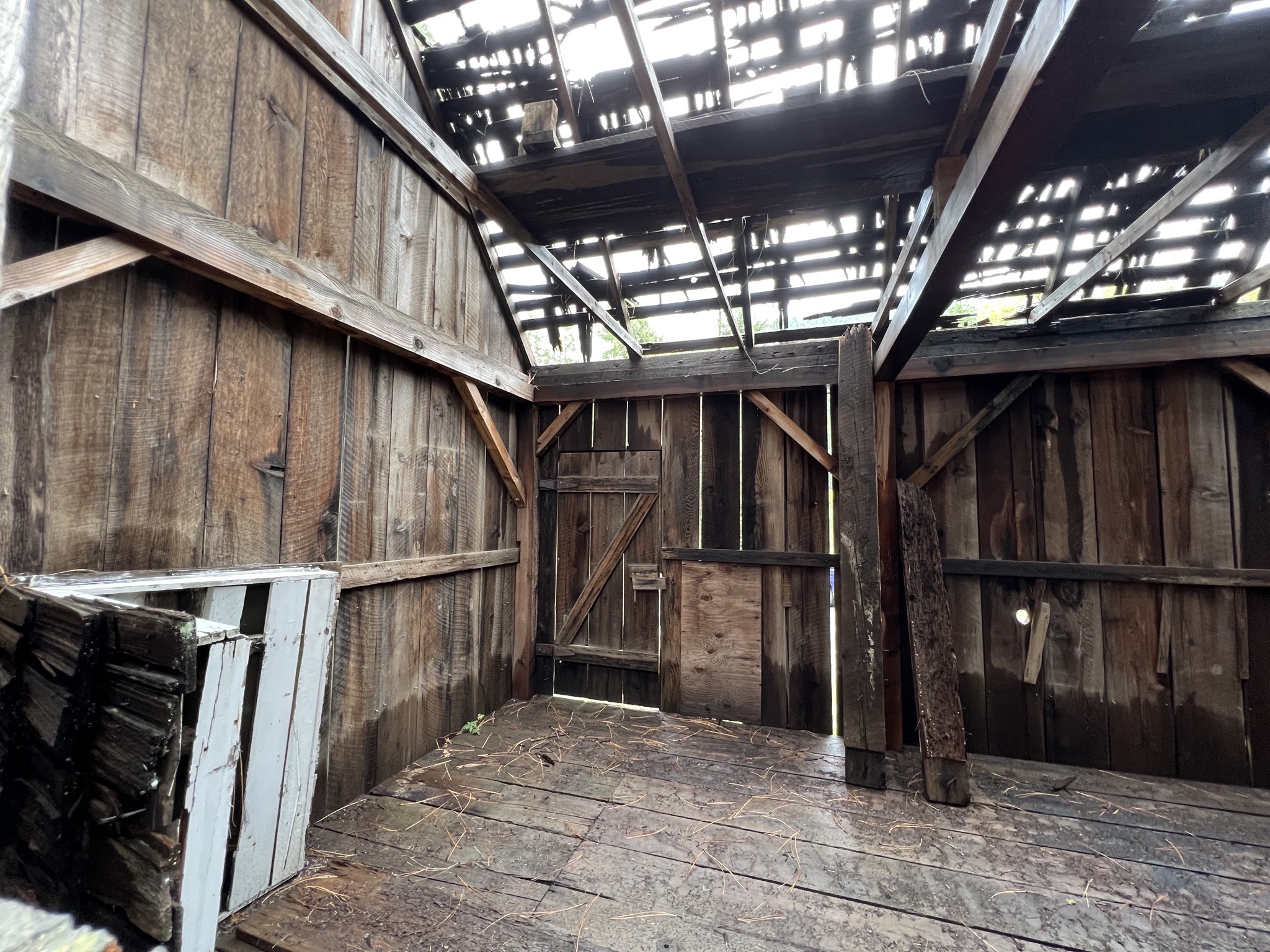 Inside the shed