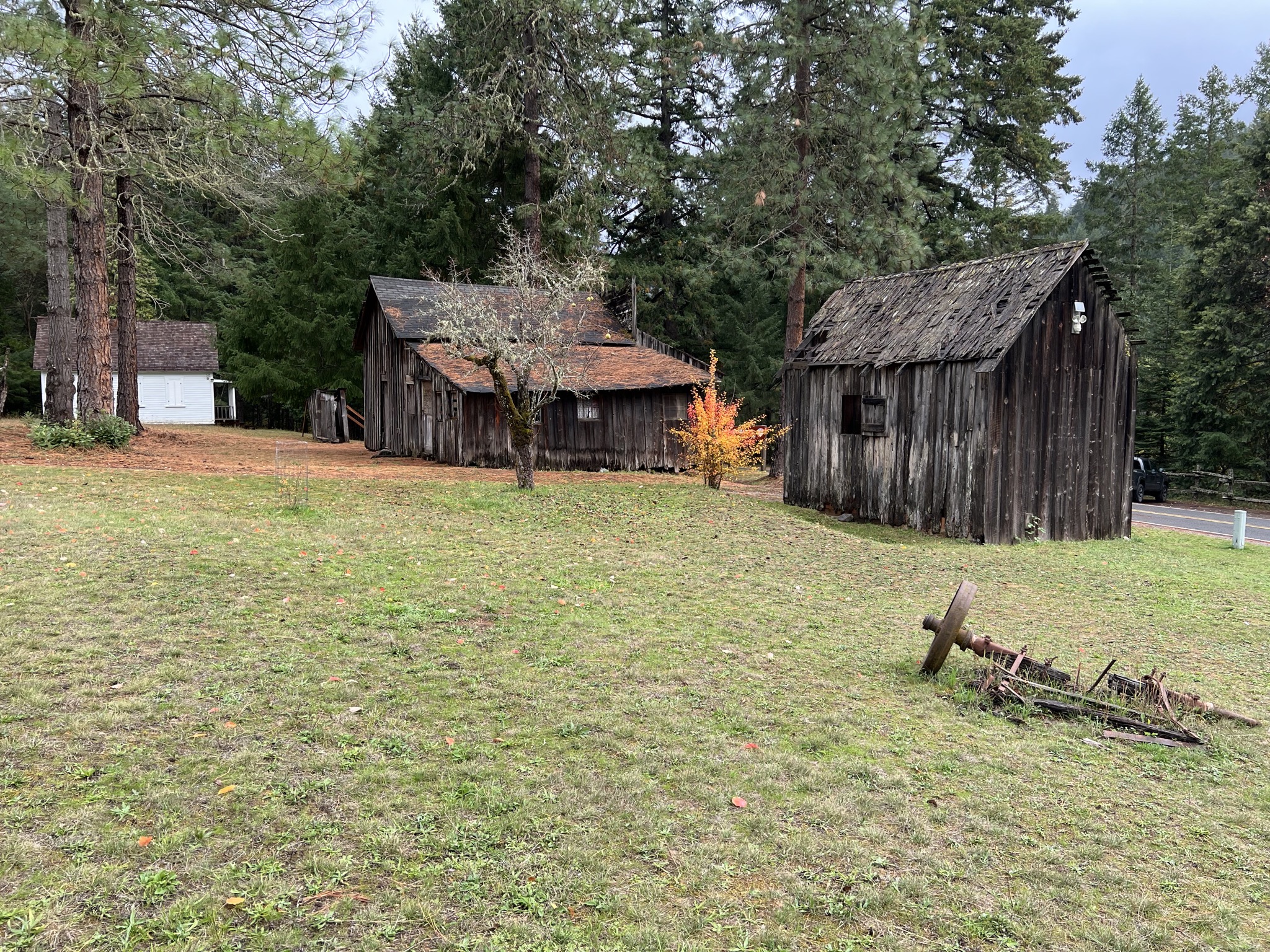 Homestead, store, shed