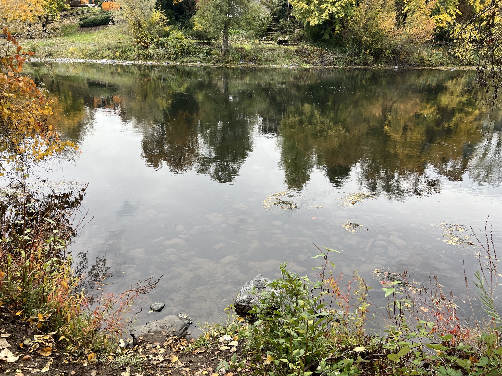 Rogue River