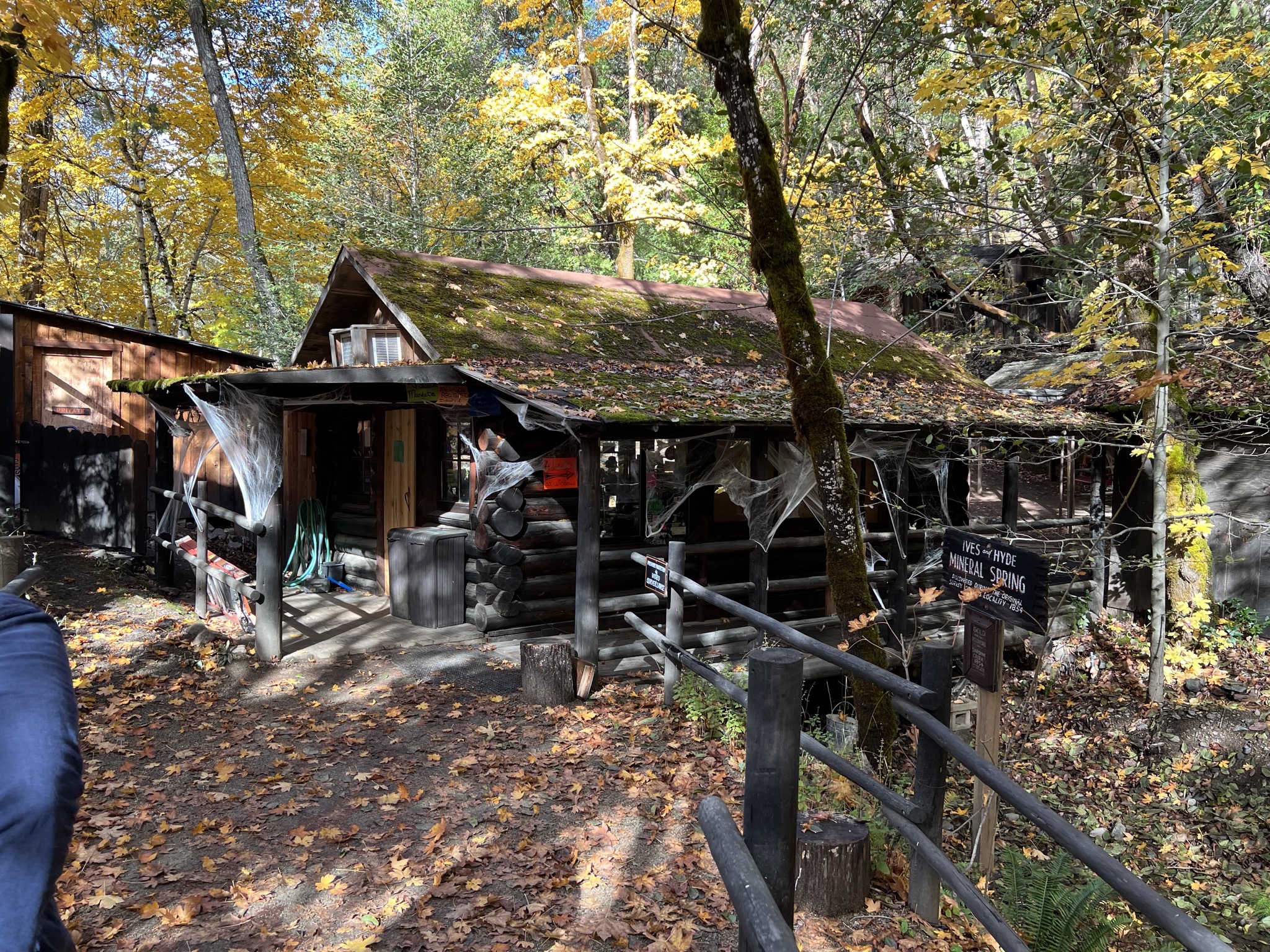 Entrance and gift store