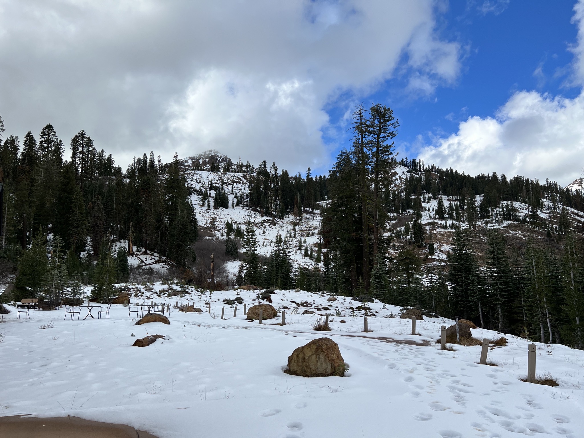 Snowy