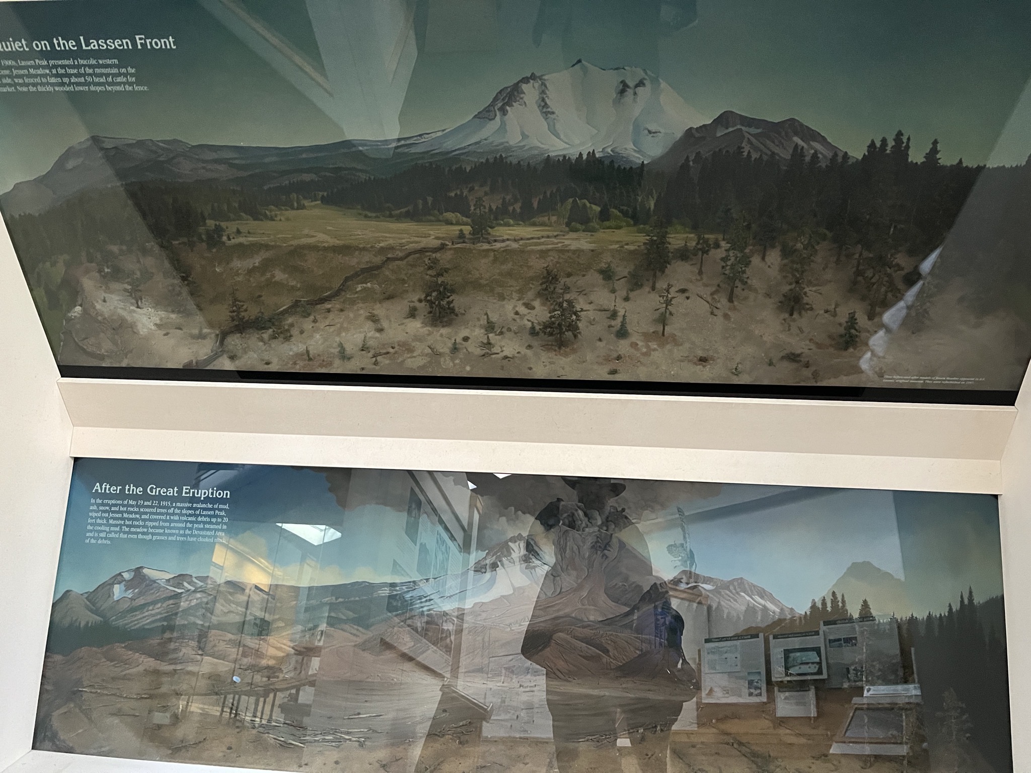 Museum display