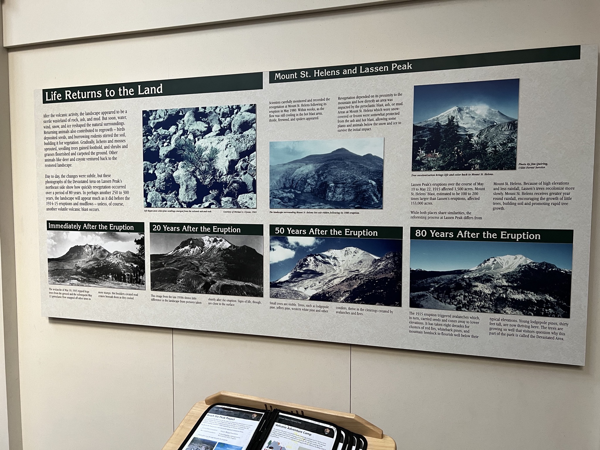 Museum display