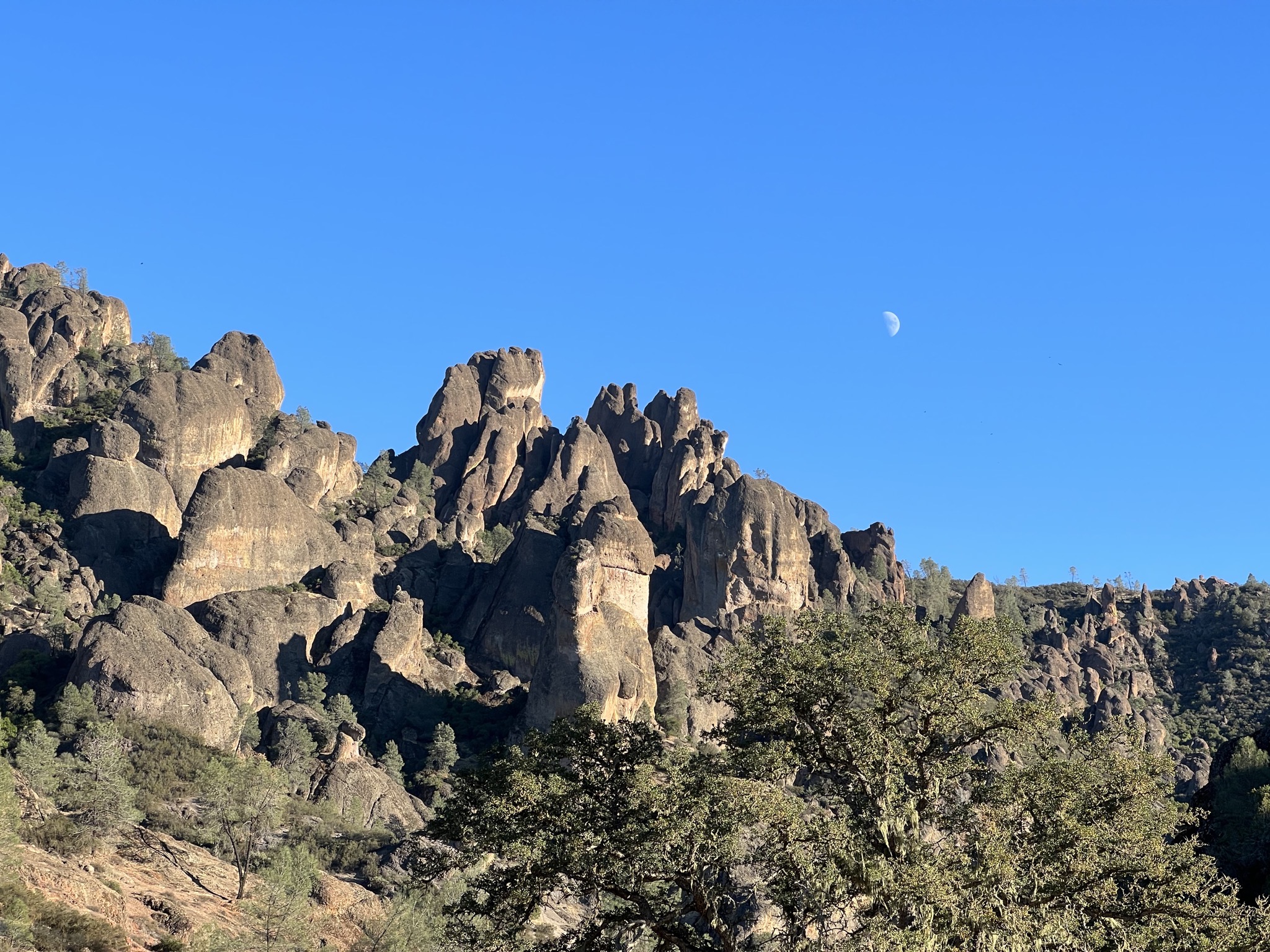 Rocks