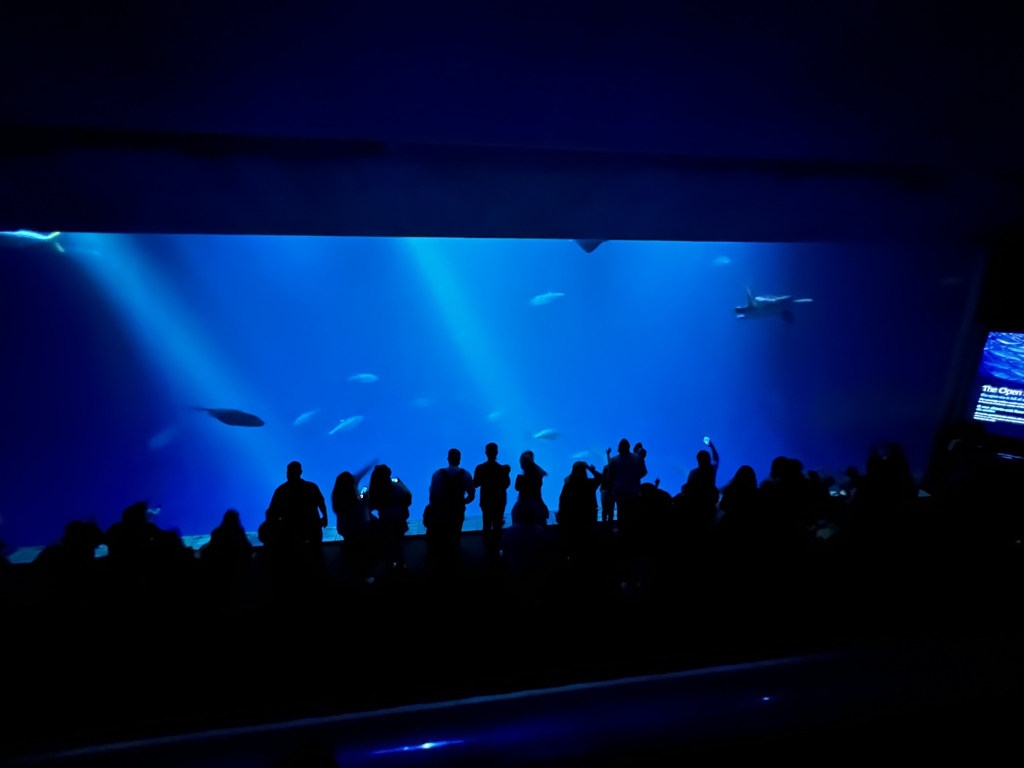 Open sea exhibit