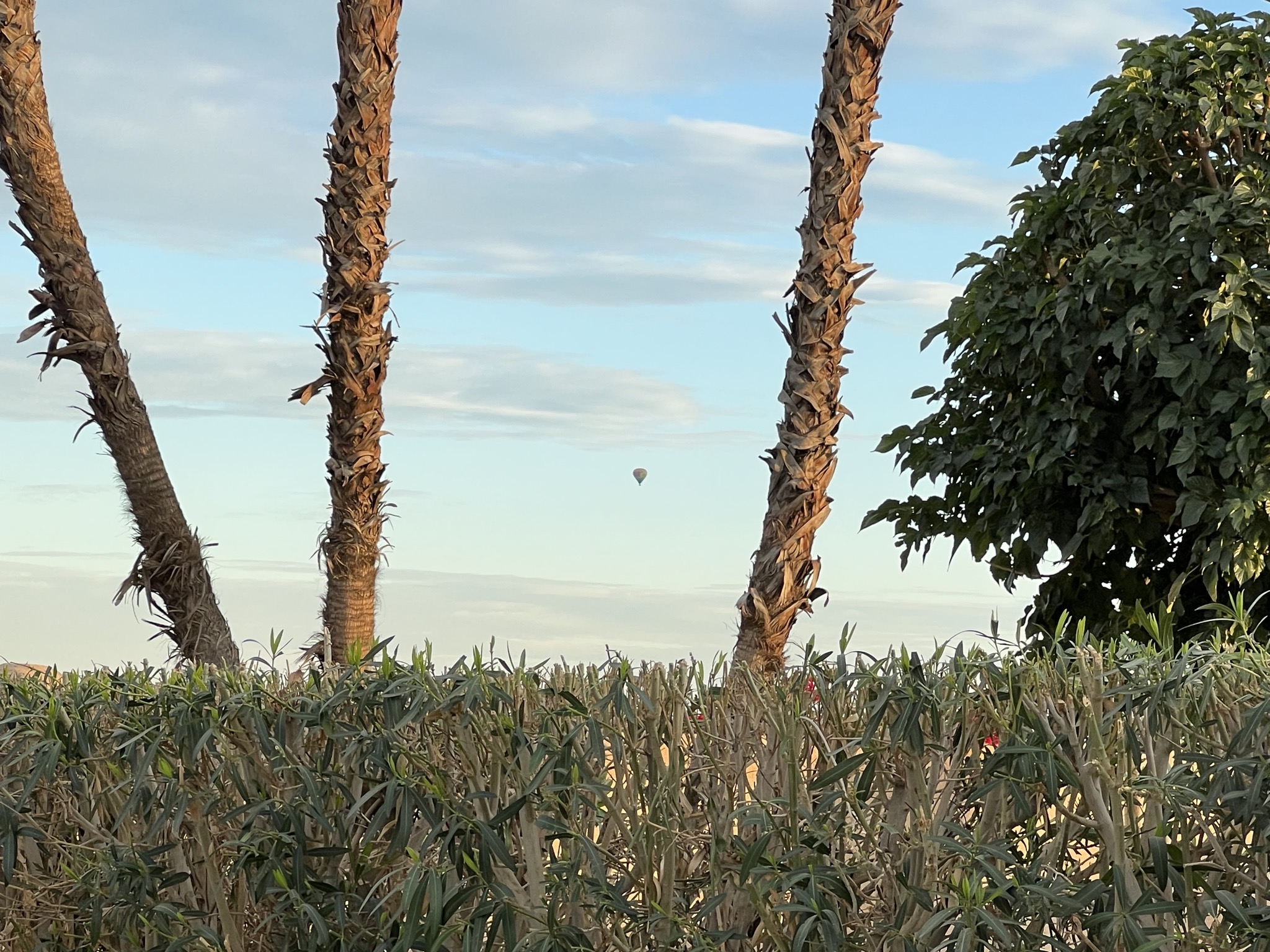 Hot air balloon