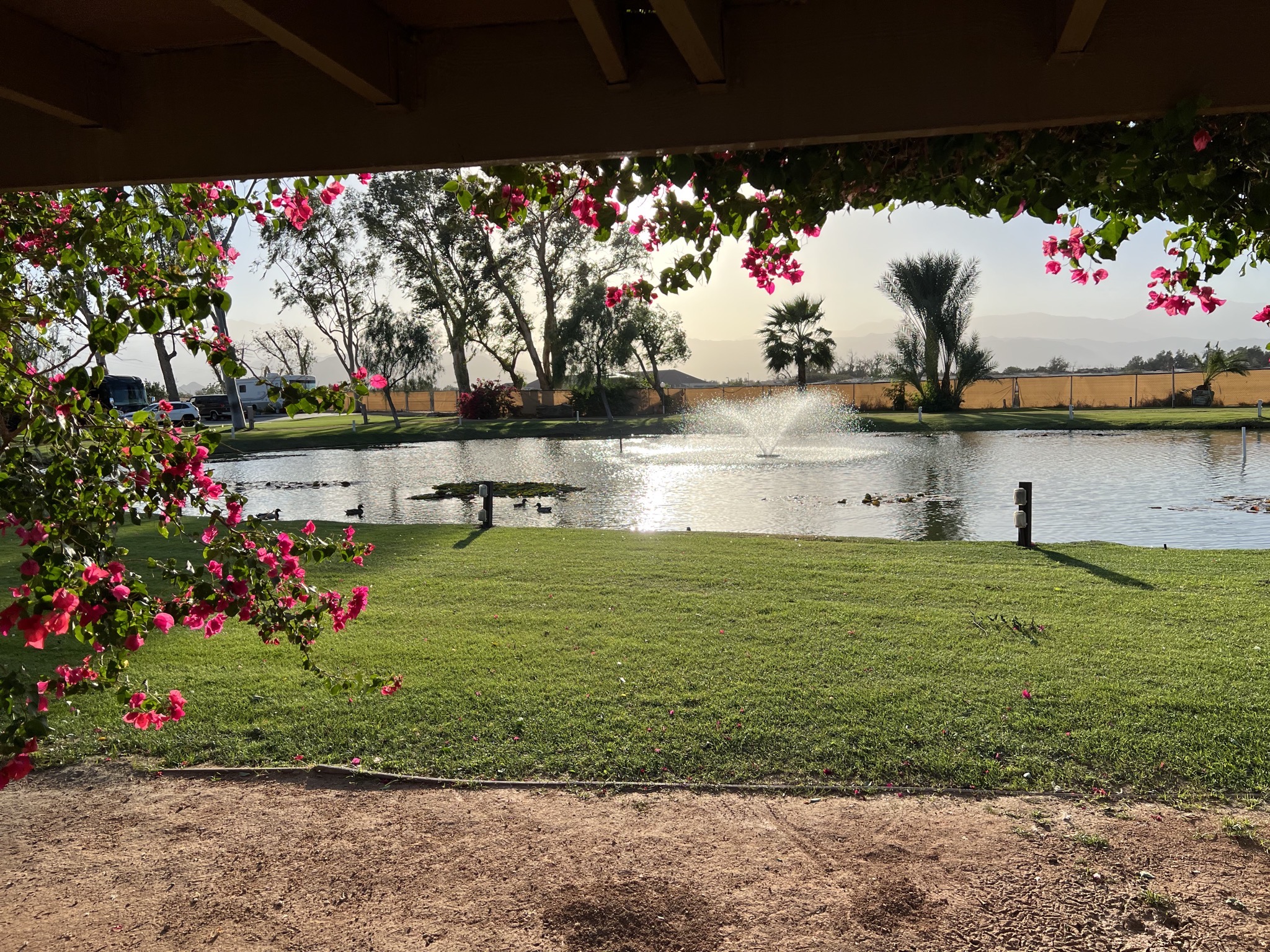 Pond