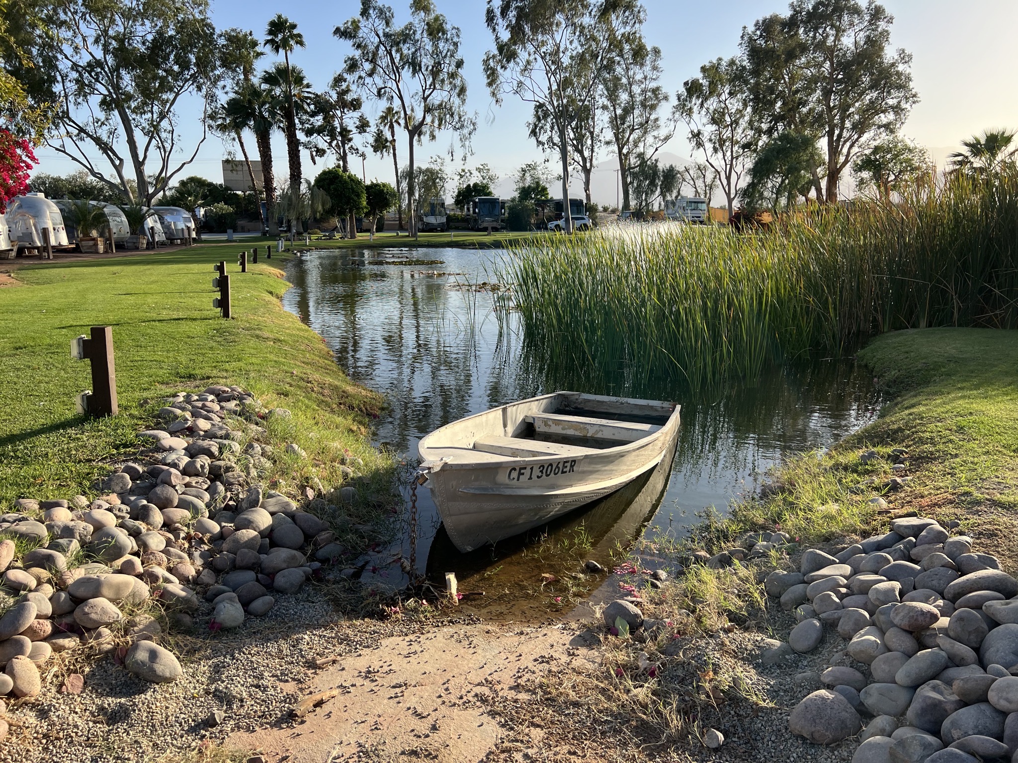 Pond