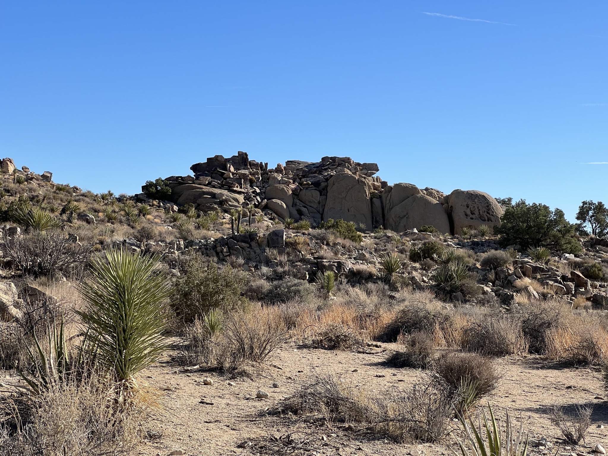 Rocks