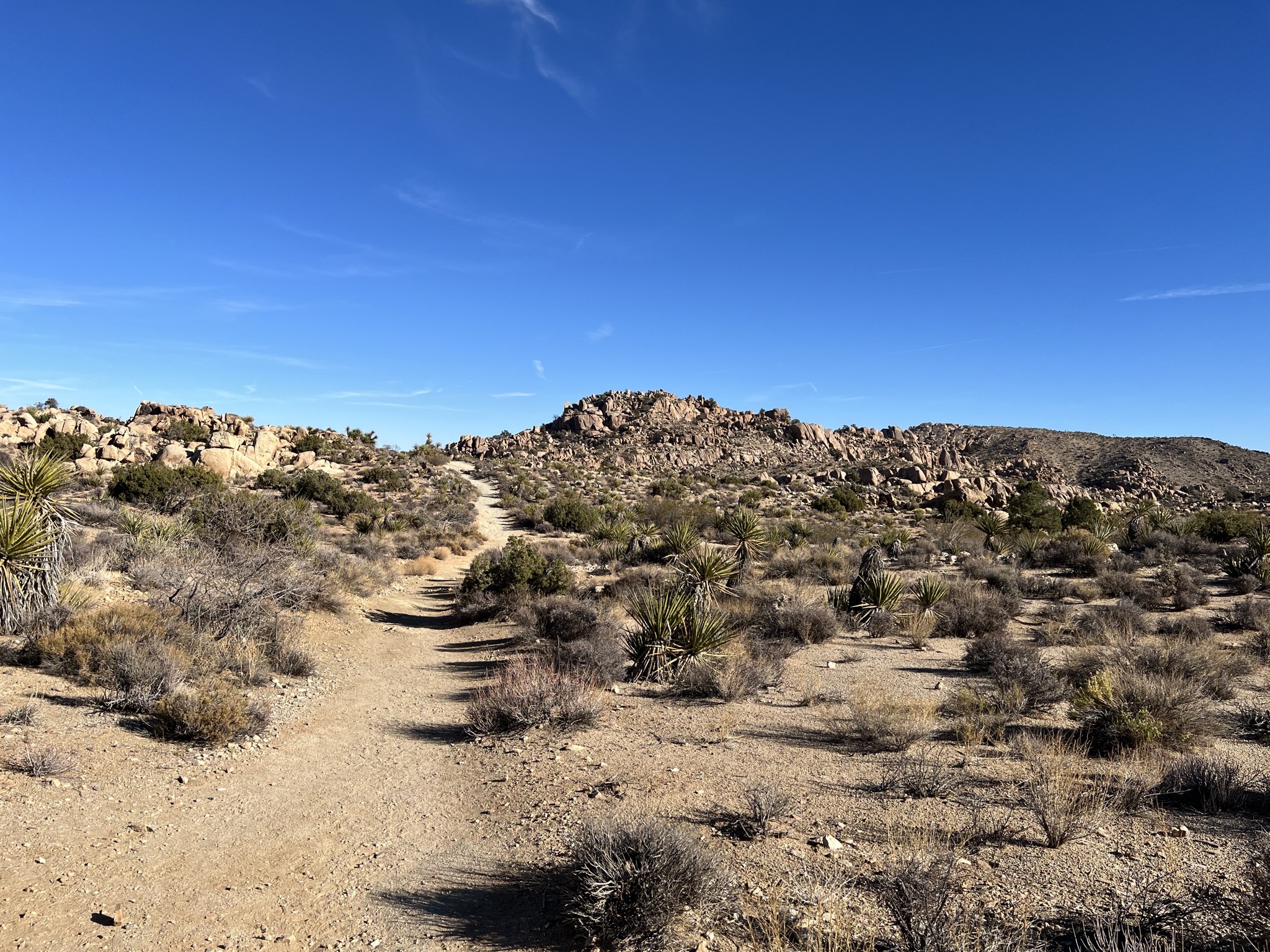 Path