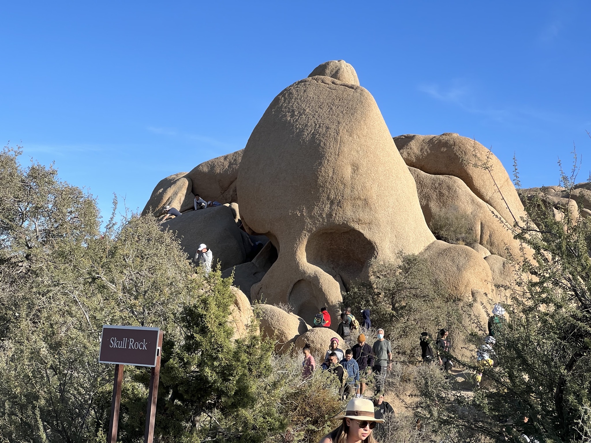 Skull Rock