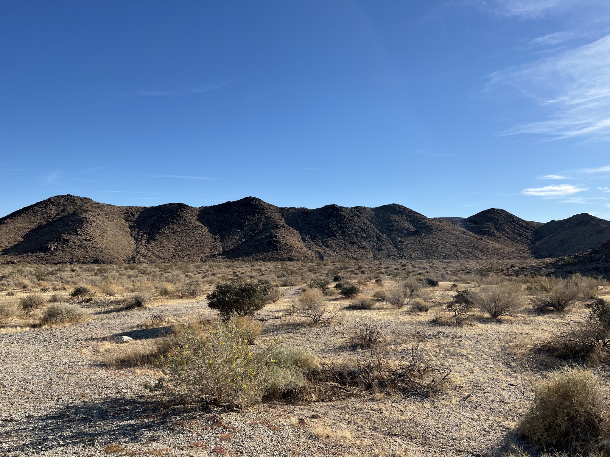 Desert
