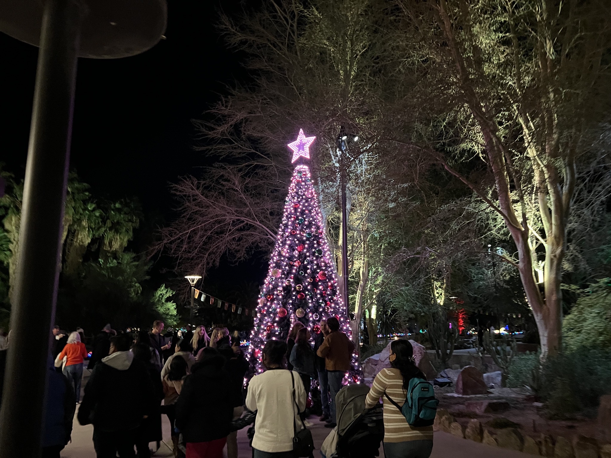 Holiday lights