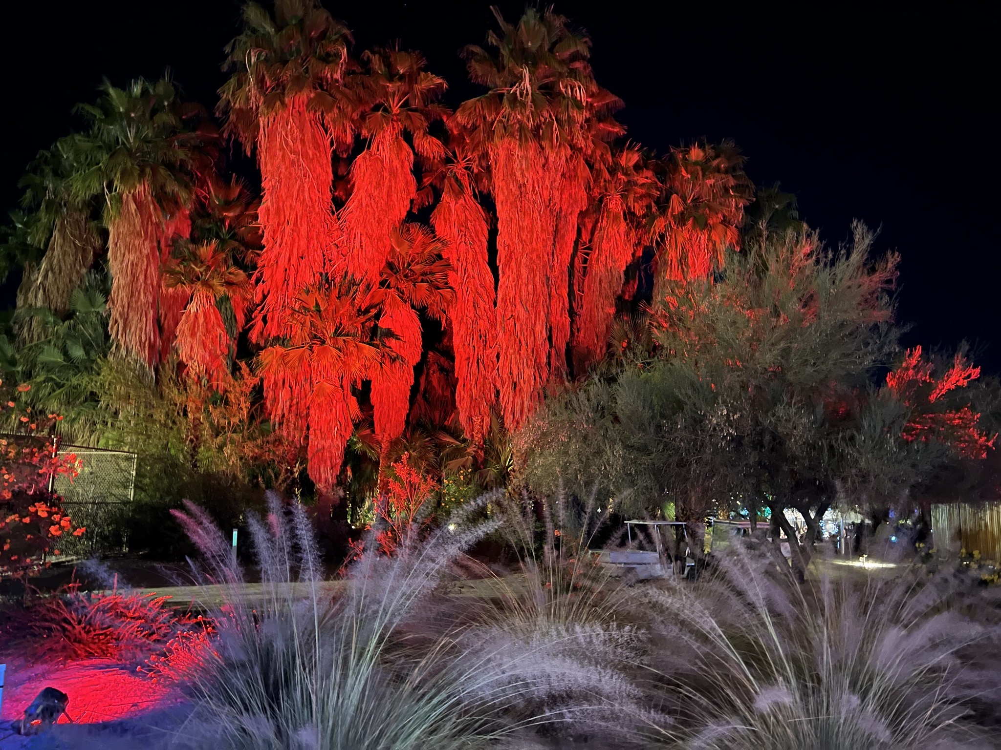 Holiday lights