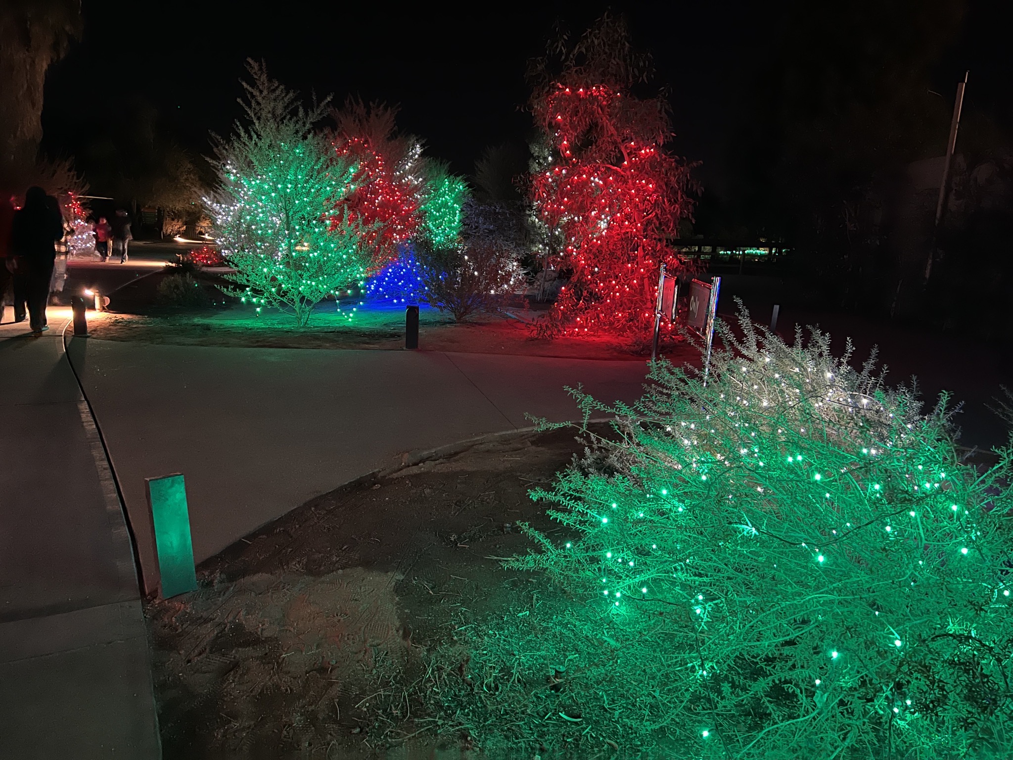 Holiday lights
