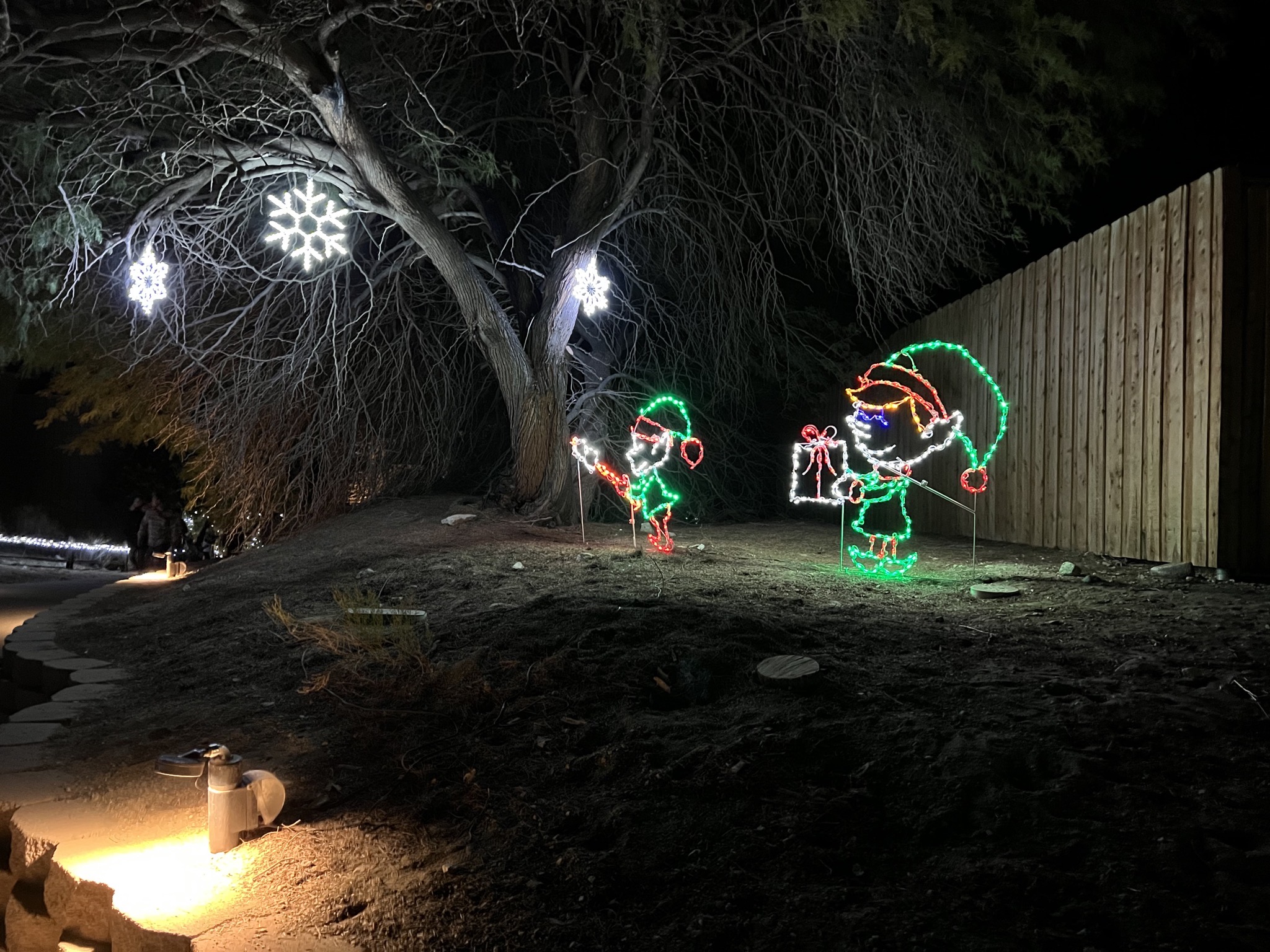 Holiday lights
