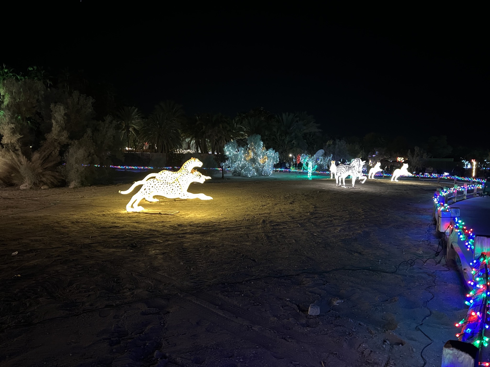 Holiday lights
