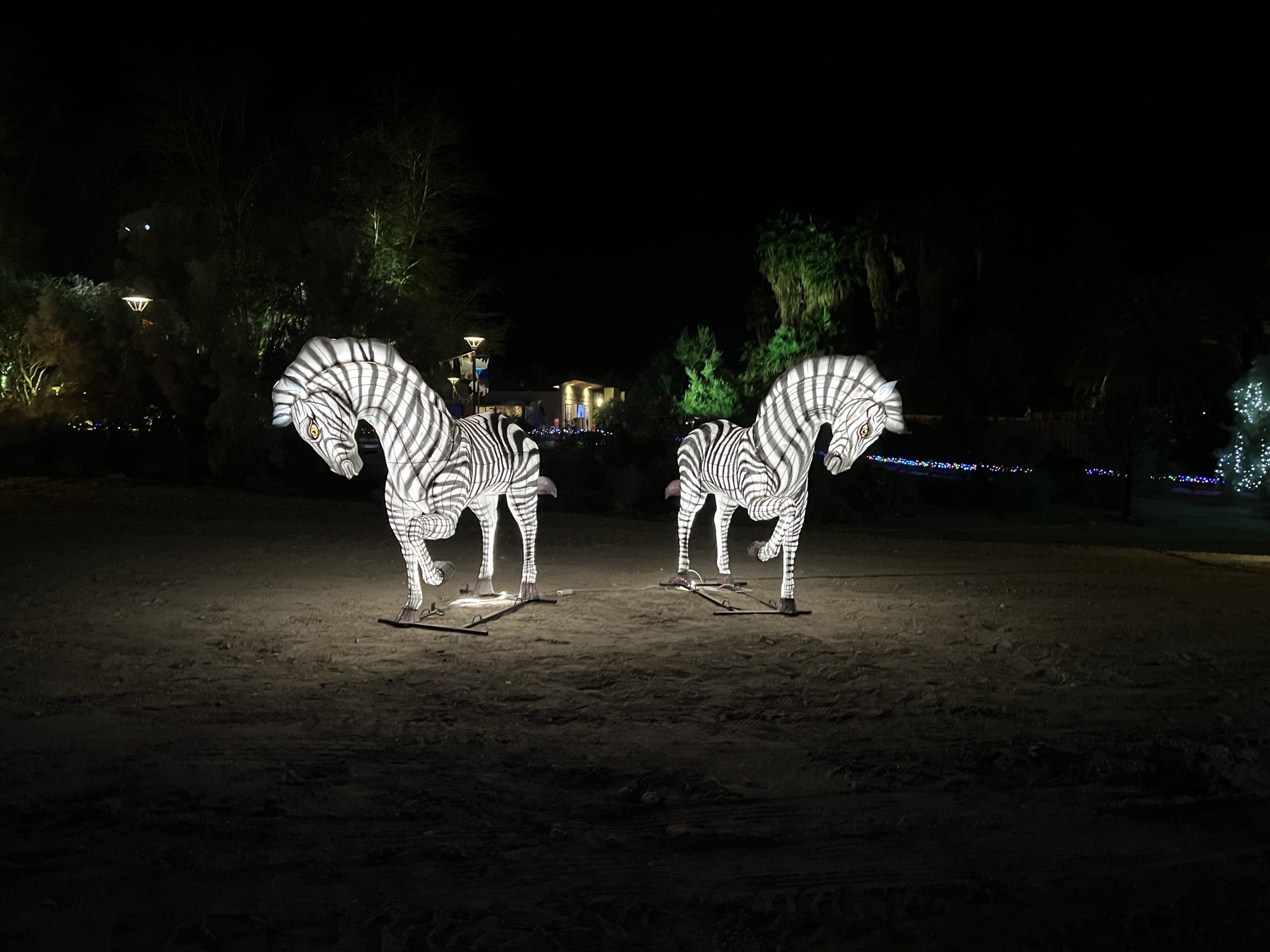 Holiday lights