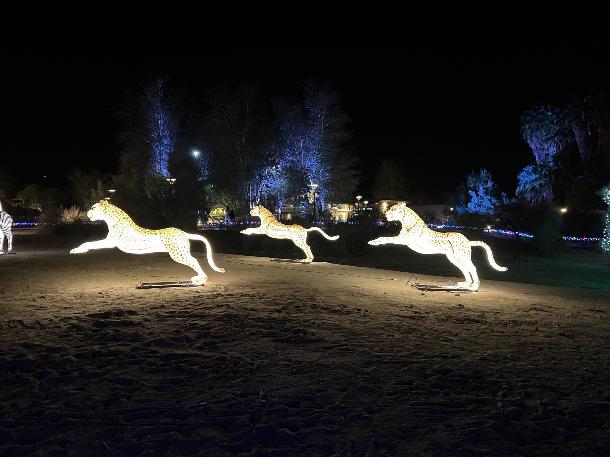 Holiday lights
