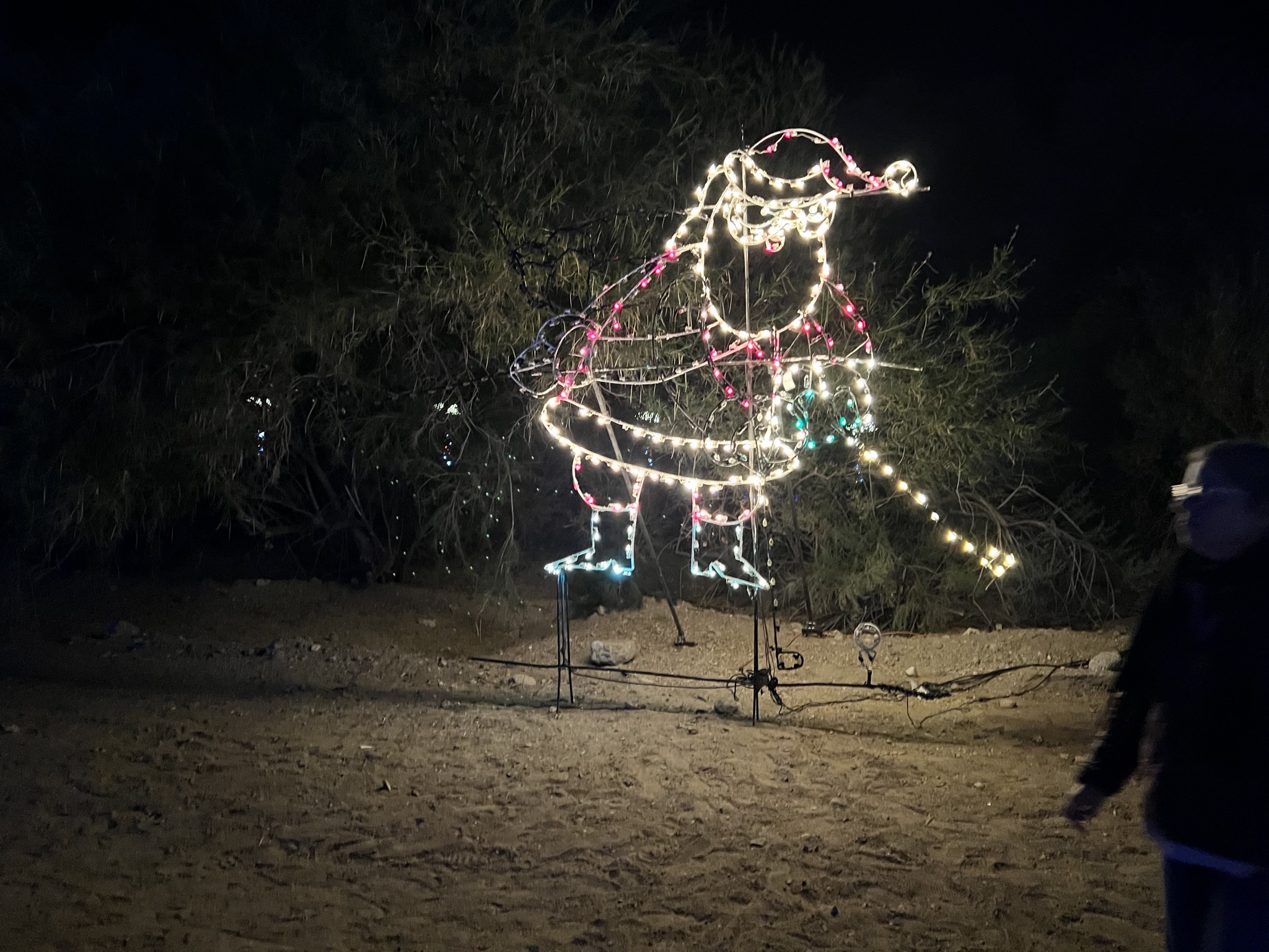 Holiday lights