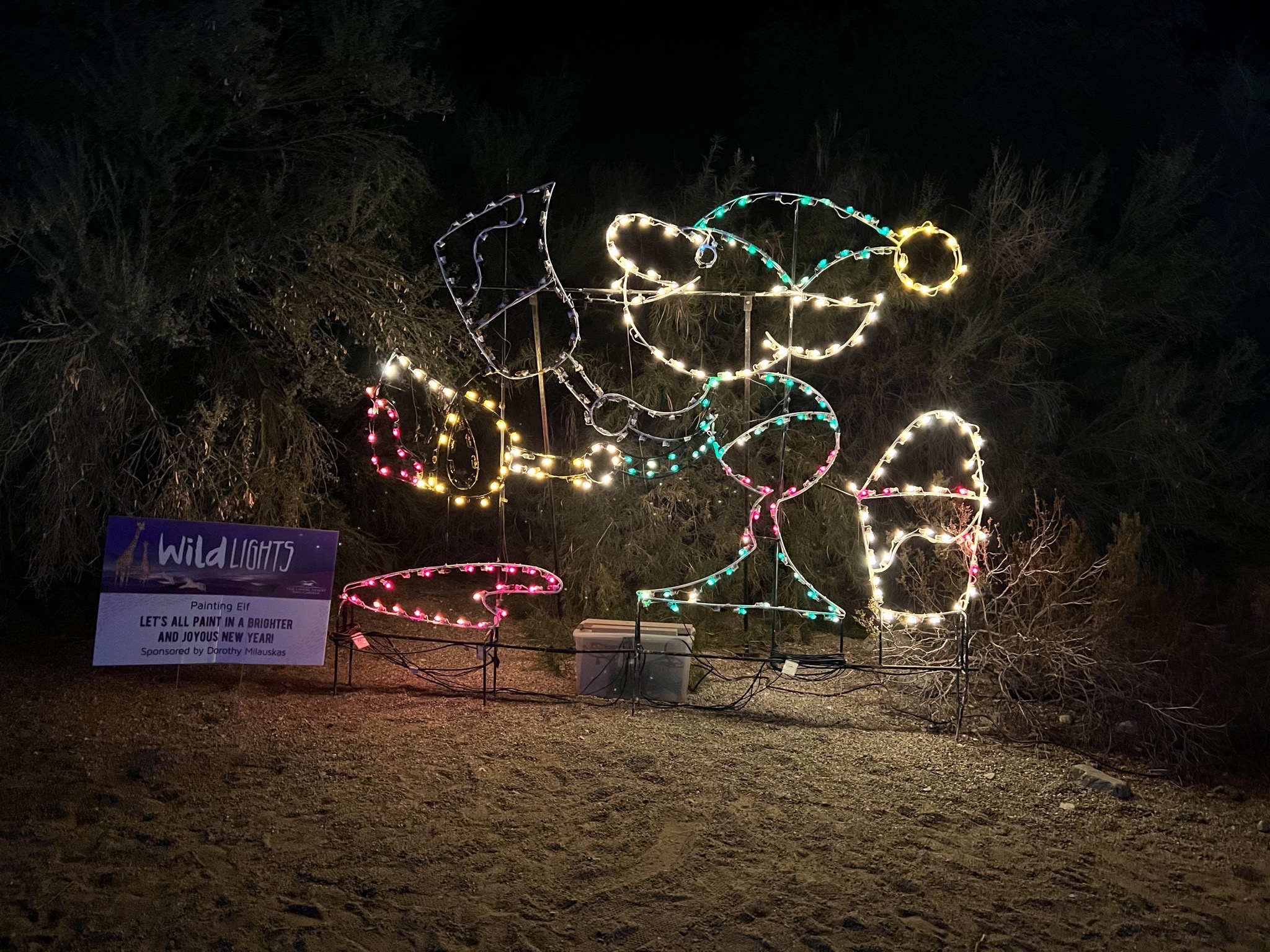Holiday lights