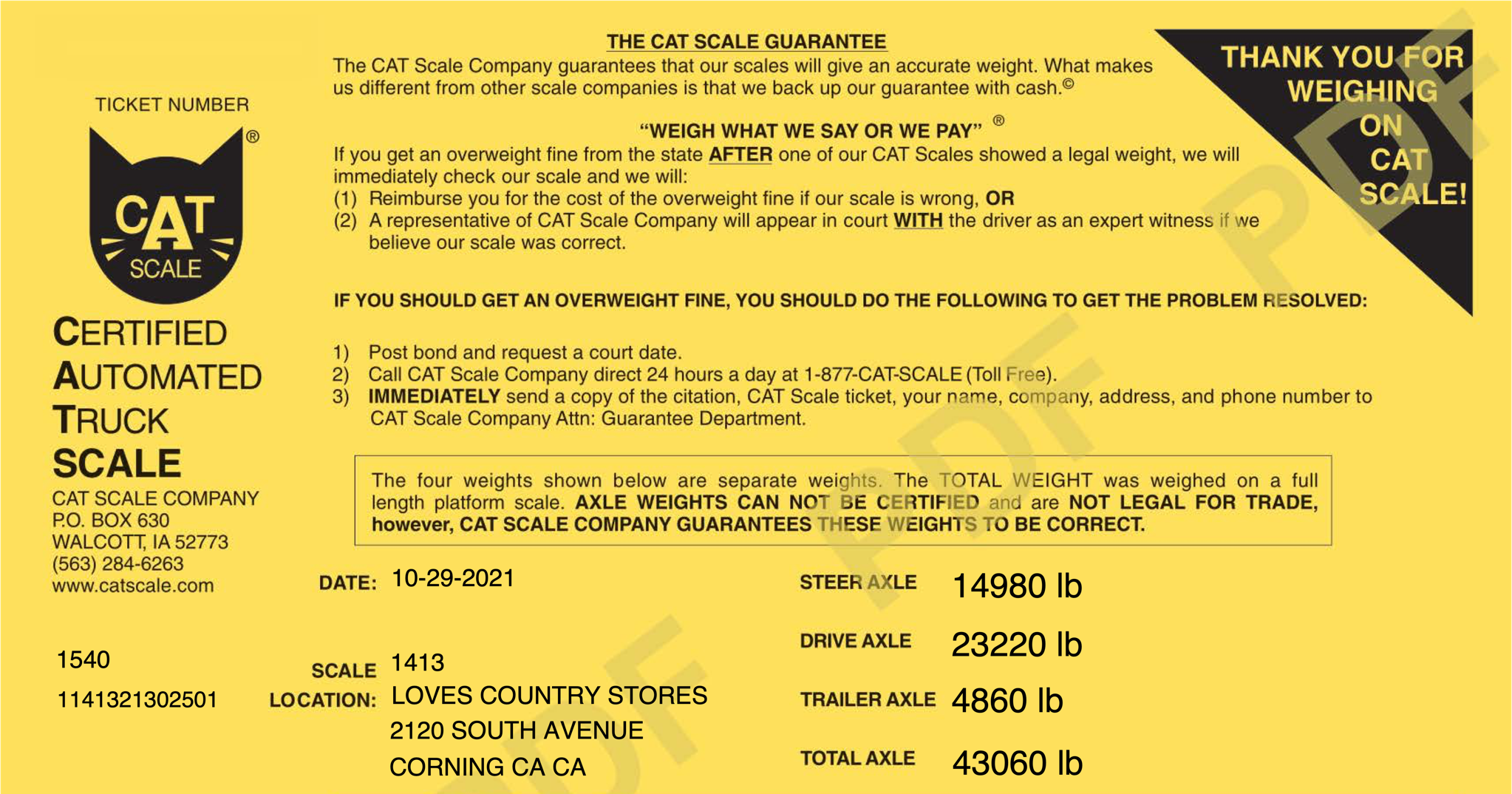 CAT scale report