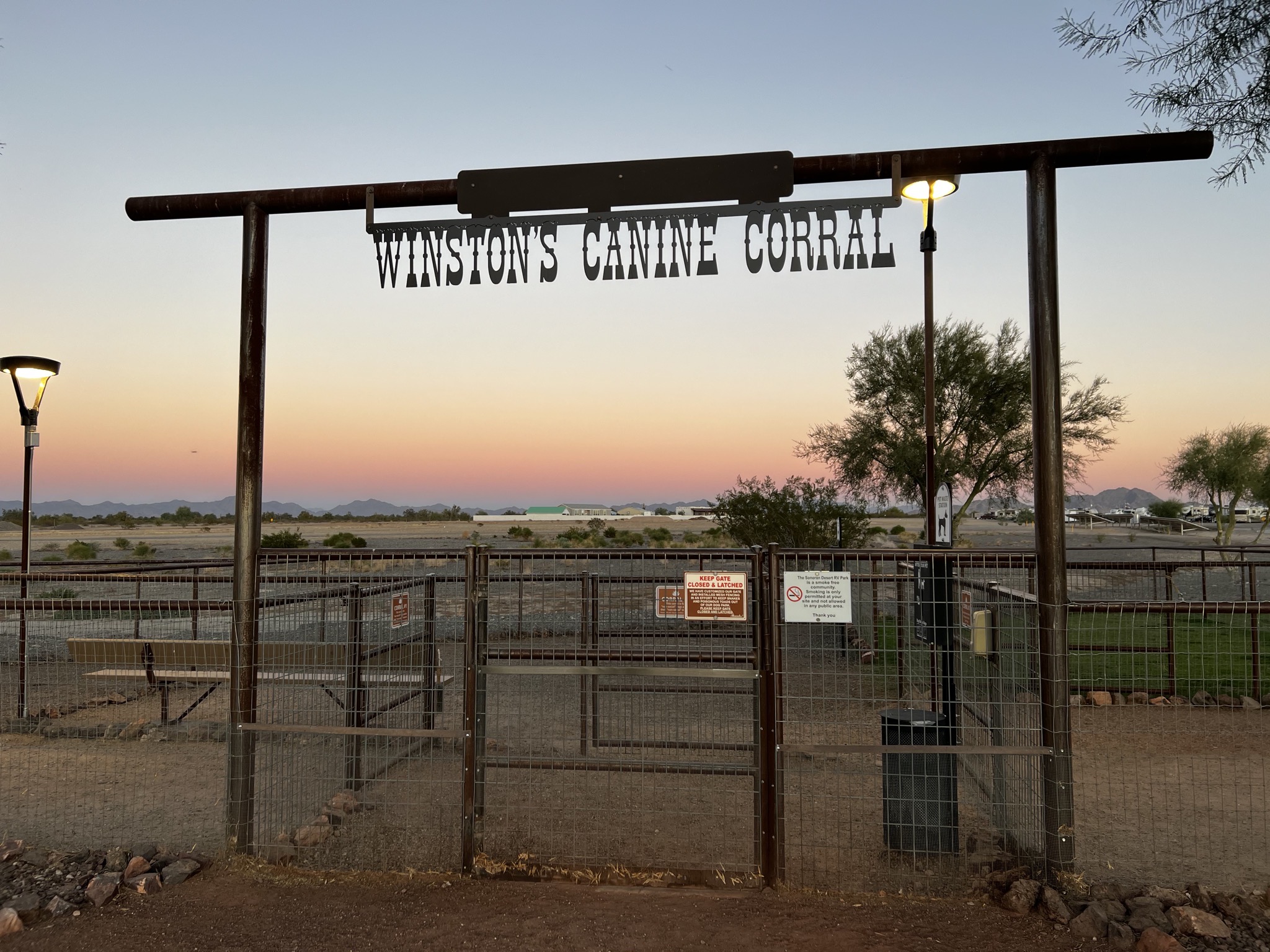 Dog area