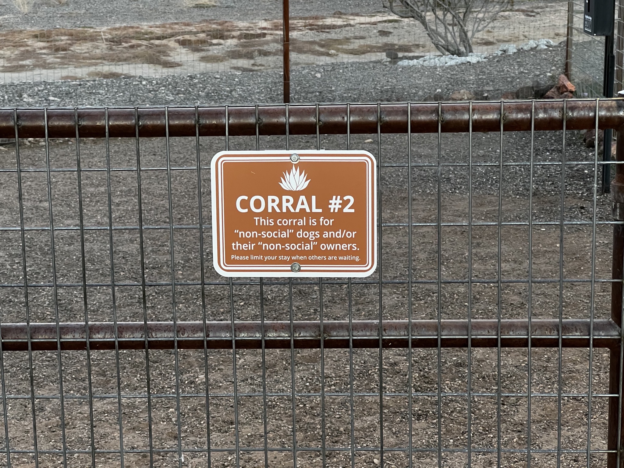 Dog area